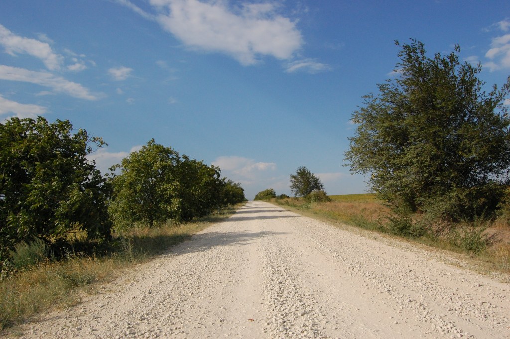 MD, Municipality Comrat, Satul Chiriet-Lunga, Drumul de piatra Ciadir-Lunga-Basarabeasca