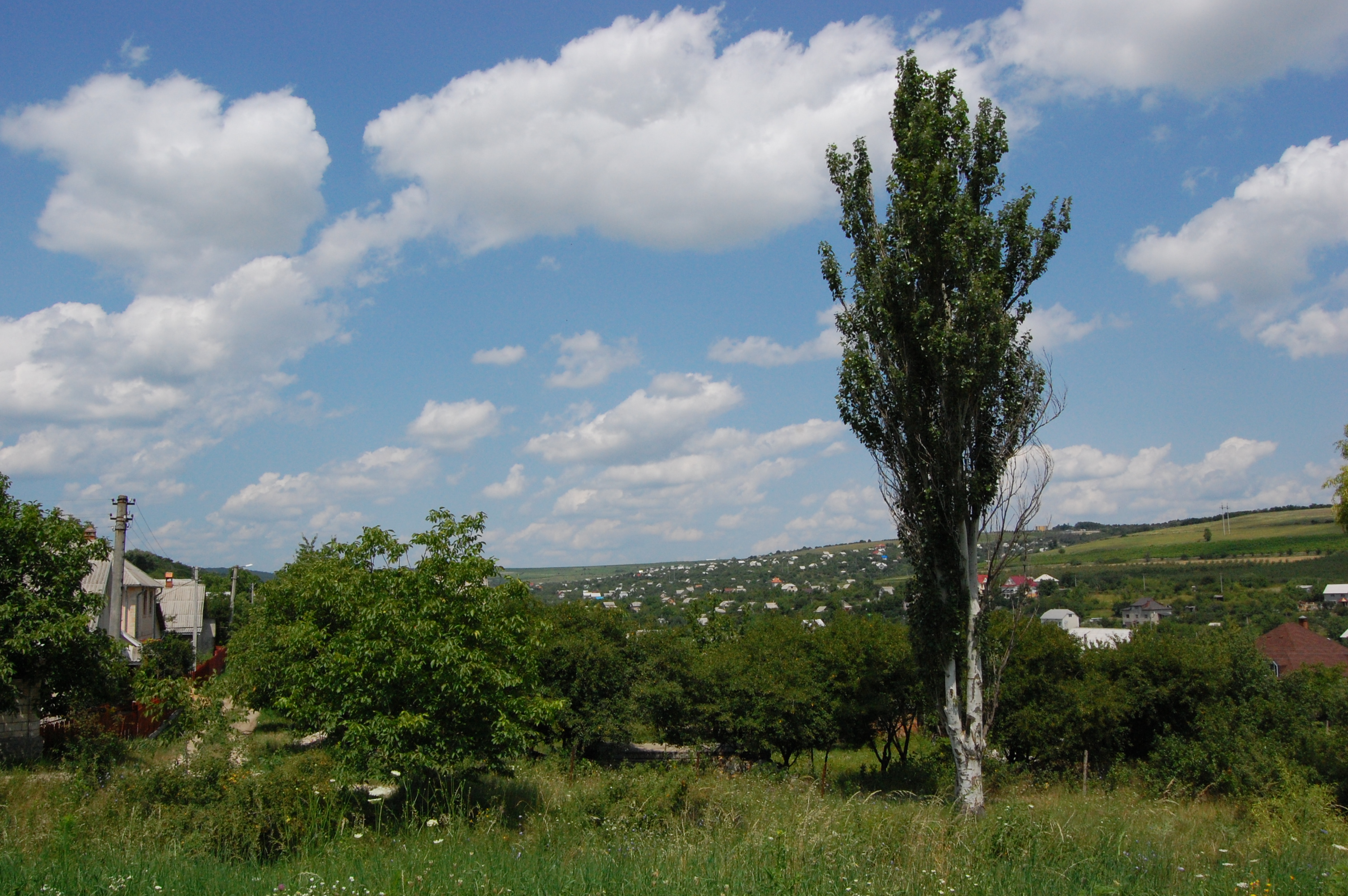 MD, Municipality Chisinau, Satul Dumbrava, Satucul Alfa-Agro, sectorul de vile, case de vacanta
