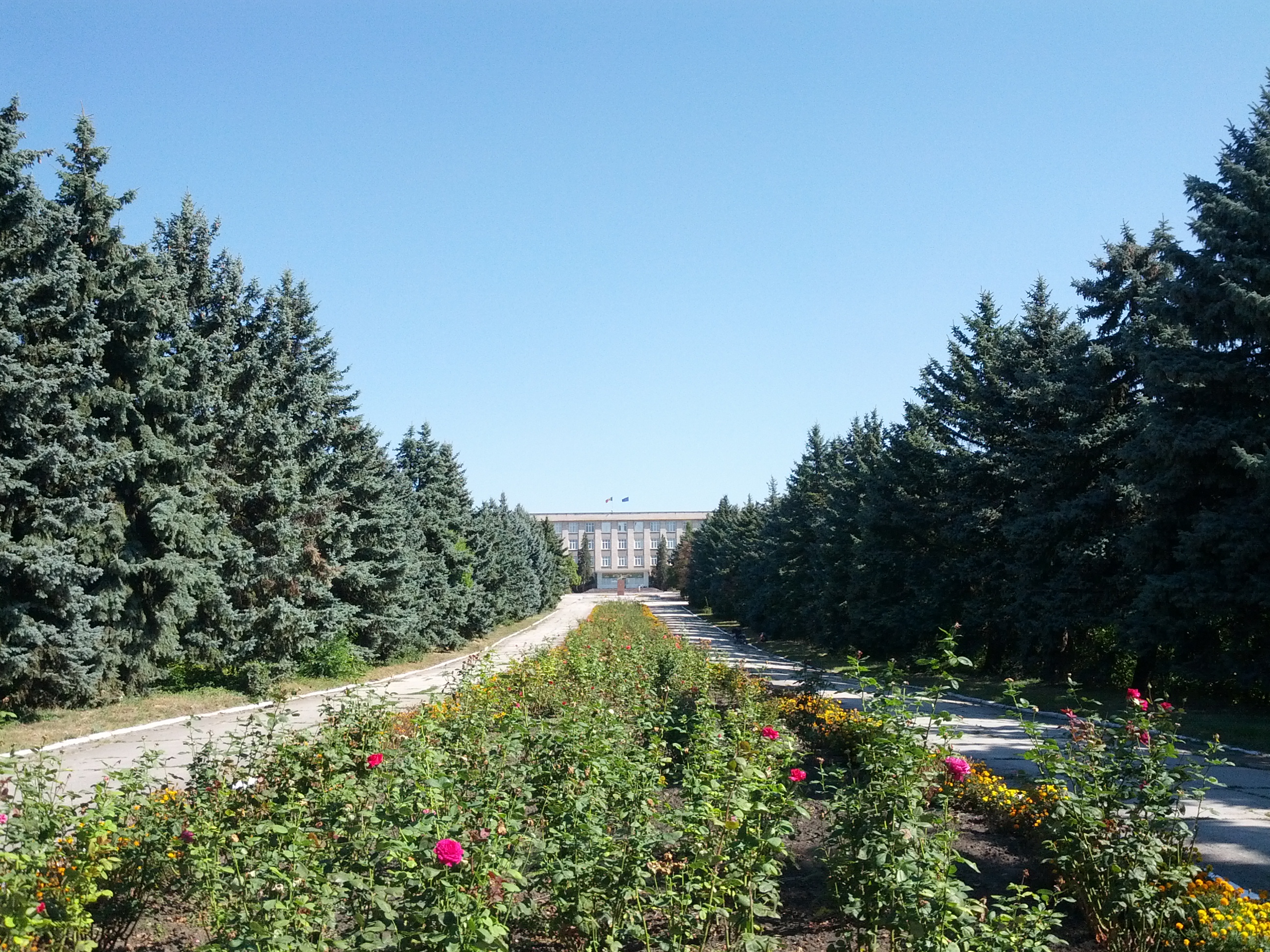 MD, Муниципалитет Chisinau, Satul Stauceni, Colegiul National de Viticultura si Vinificatie, Drumul spre colegiu