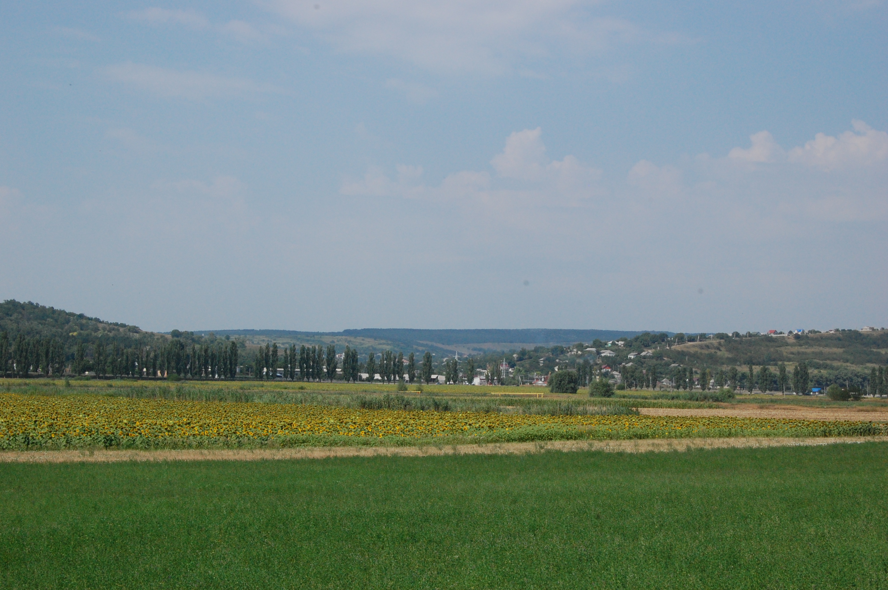 MD, Район Ialoveni, Satul Bardar, Vedere spre satul Bardar