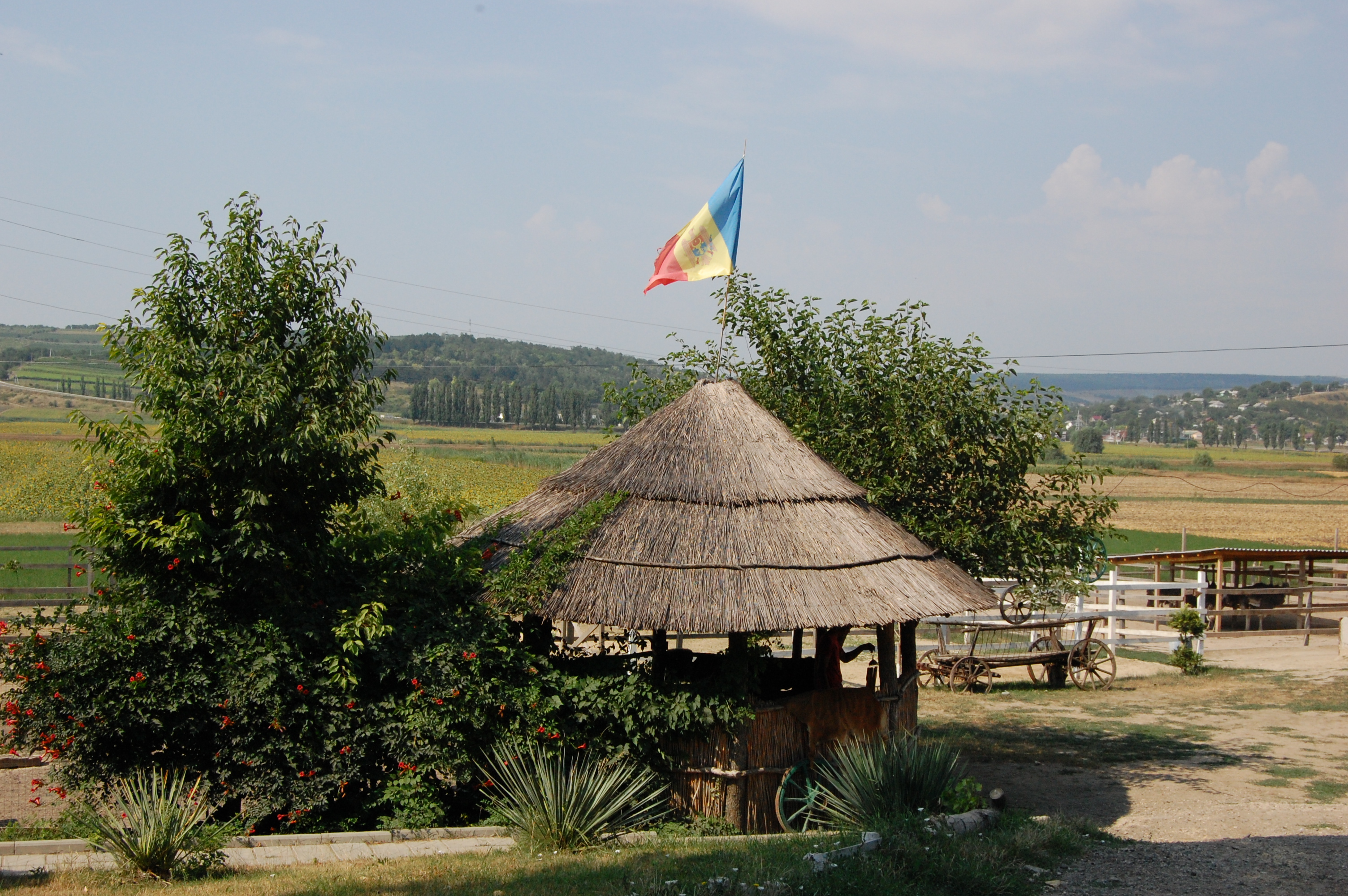 MD, District Ialoveni, Satul Bardar, Zooclub, Foișor cu Tricolor 