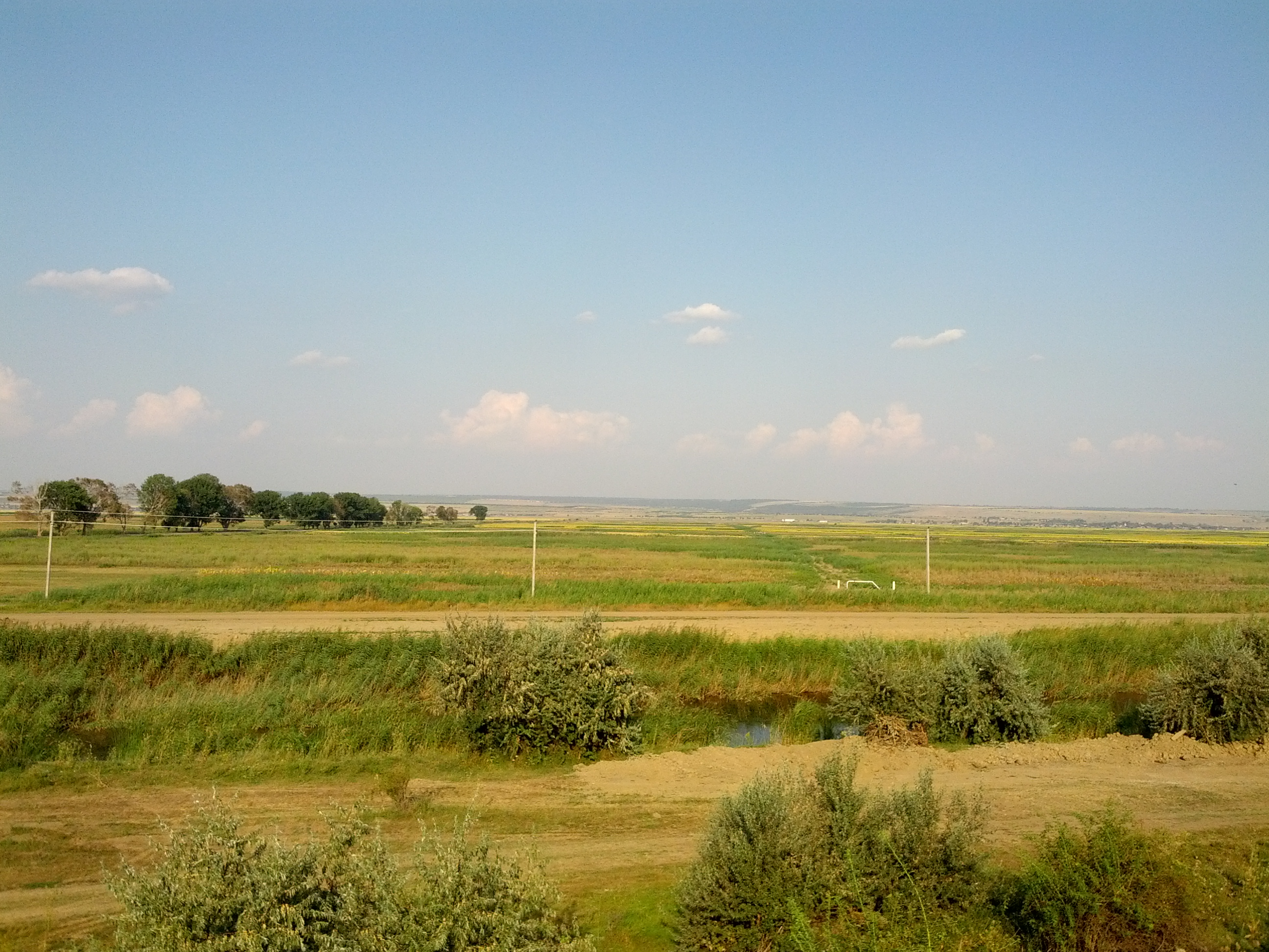 MD, District Cahul, Satul Zirnesti, Șes, Vedere spre satul Paicu