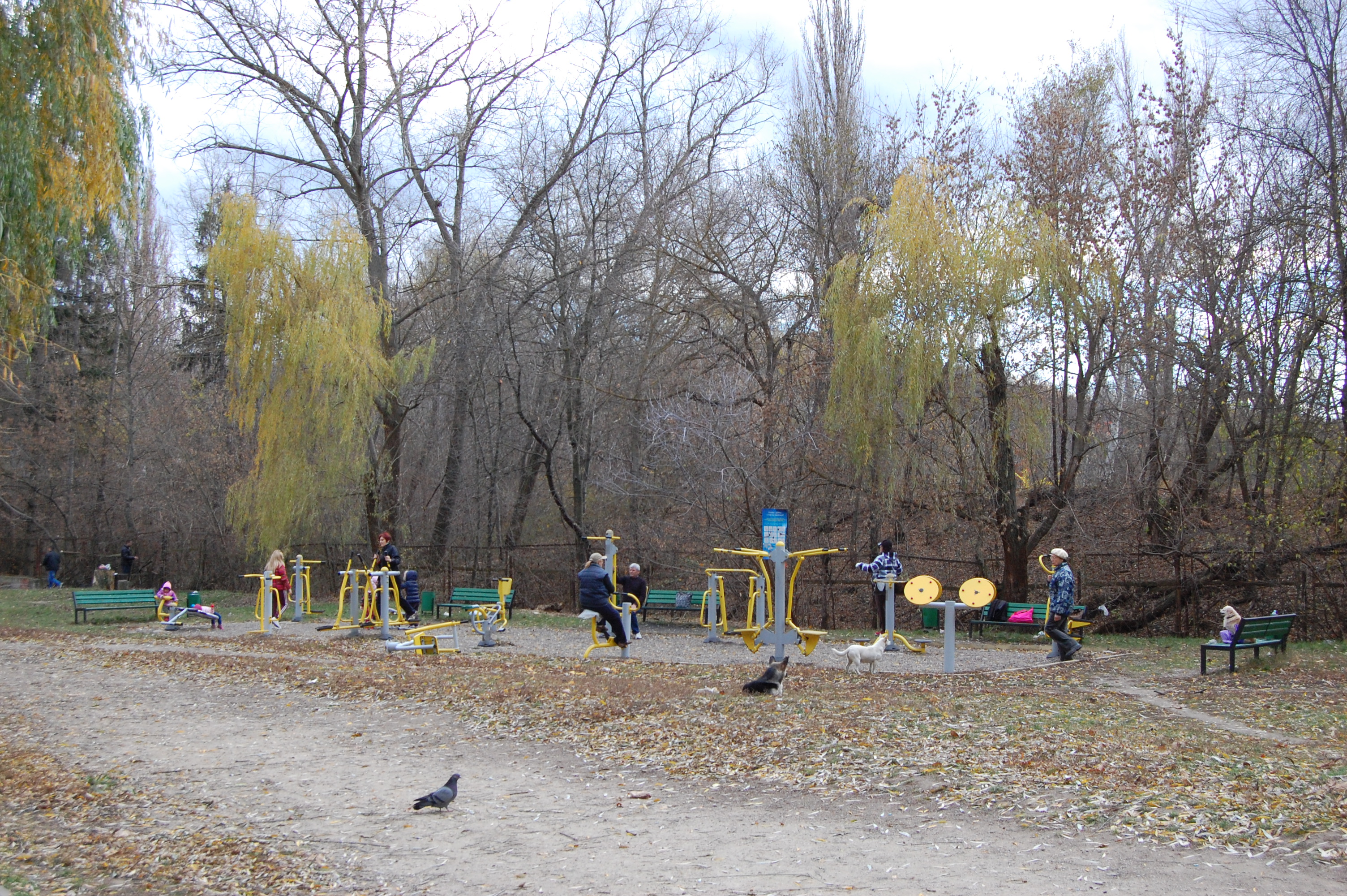 MD, Orasul Chisinau, Teren sportiv in parcul Riscani