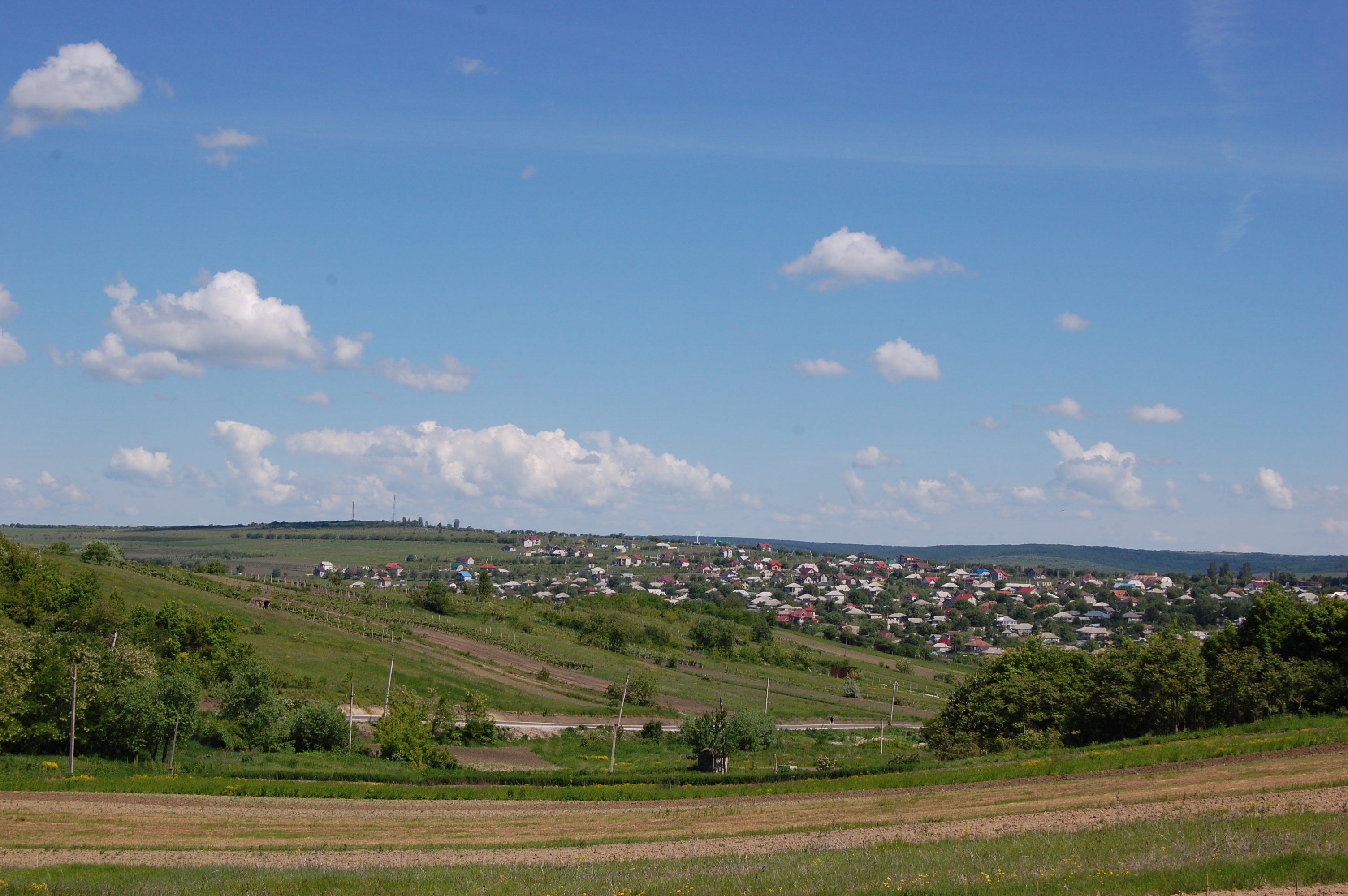 MD, Район Ialoveni, Satul Suruceni, Vedere spre satul Suruceni de la Manasterea Suruceni