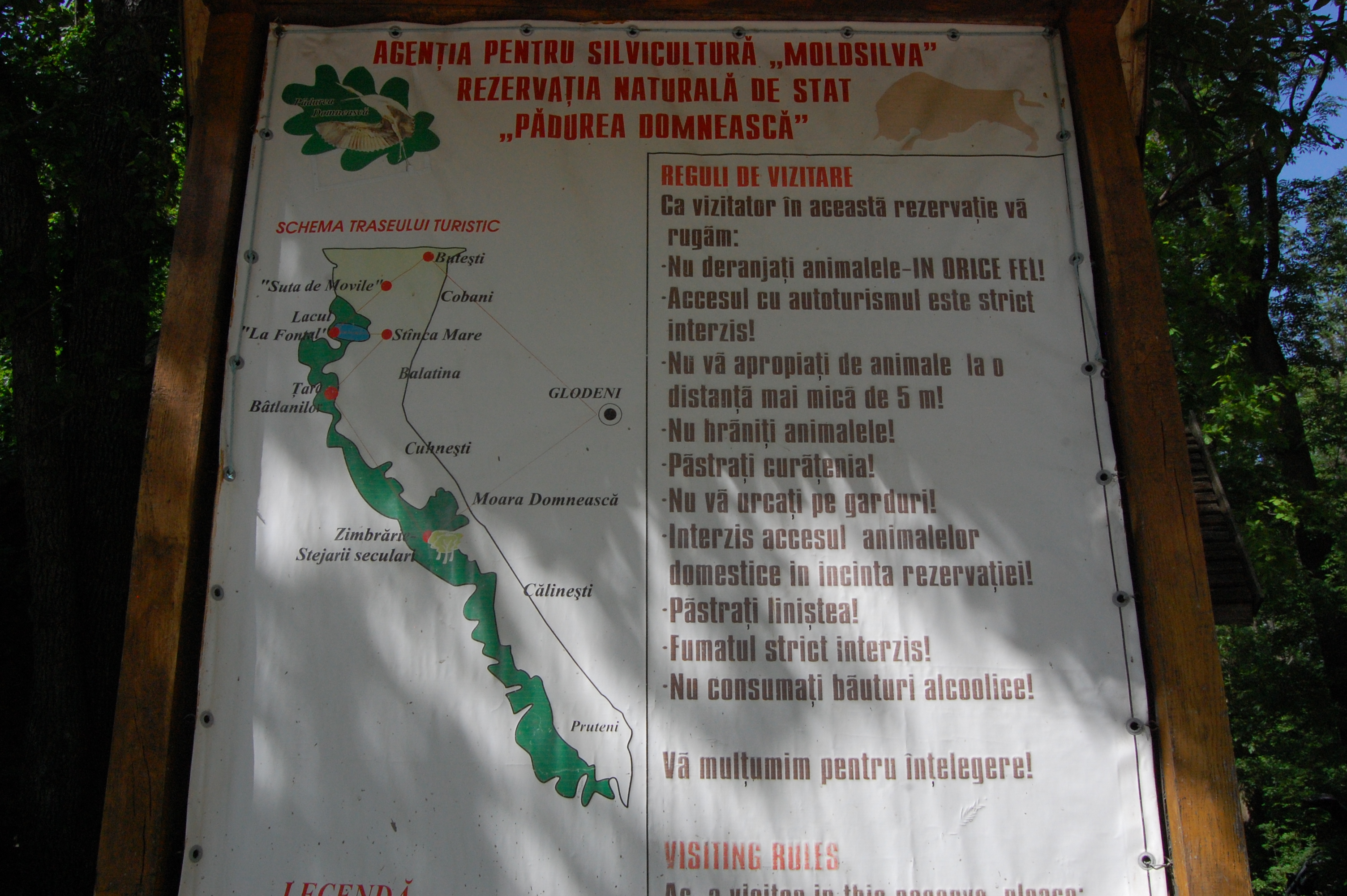 MD, District Glodeni, Satul Moara Domneasca, Rezervatia Naturala Padurea Domneasca - Schema traseului turistic