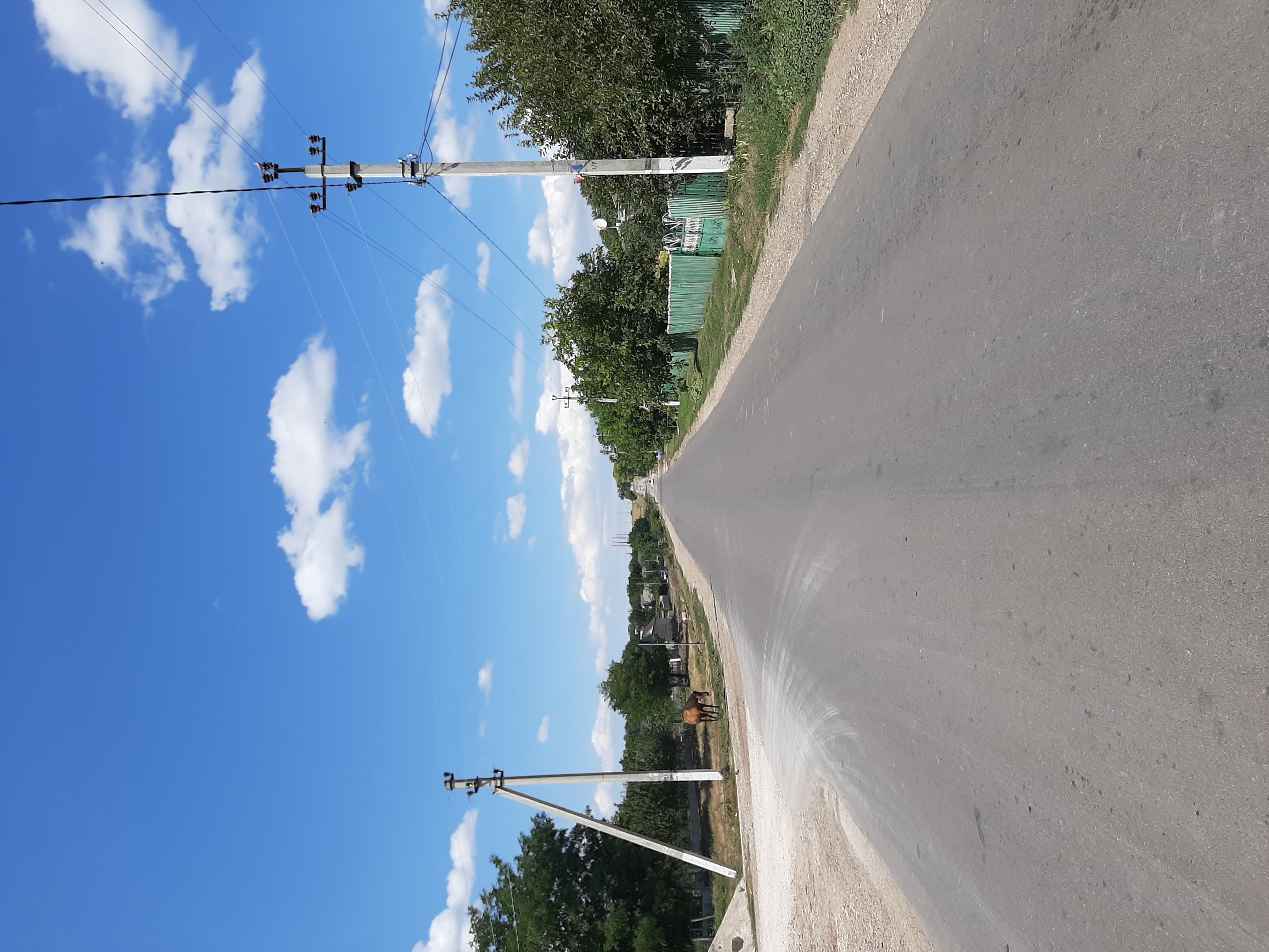 MD, District Falesti, Satul Navirnet, Ieșirea din satul Năvîrneț