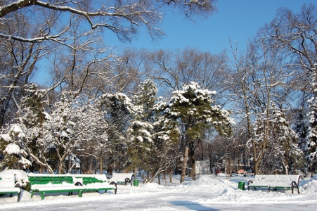 MD, Orasul Chişinău, Iarna, Zăpadă, Parcul Național Ștefan cel Mare