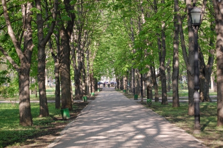 MD, Orasul Chişinău, Alee, Parcul National Stefan cel Mare, Gradina Publica