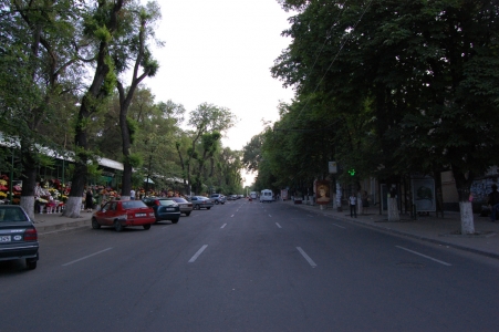 MD, Orasul Chişinău, Strada Mitropolit Banulescu-Bodoni, Piata de Flori