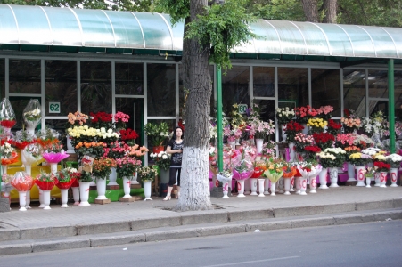 MD, Orasul Chişinău, Piata de Flori, Butic cu flori, Florarie