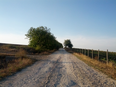 MD, Raionul Cimişlia, Satul Ivanovca Nouă, Drumul Ivanovca Noua-Firladani, drum de piatra