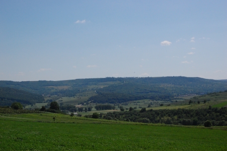 MD, Raionul Călăraşi, Satul Frumoasa, Vedere spre satul Raciula si Parcani