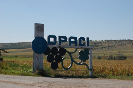MD, Raionul Căuşeni, Satul Opaci, Intrarea in satul Opaci