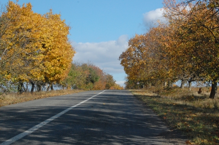 MD, District Orhei, Satul Butuceni, Drumul R43 Branesti - Trebujeni