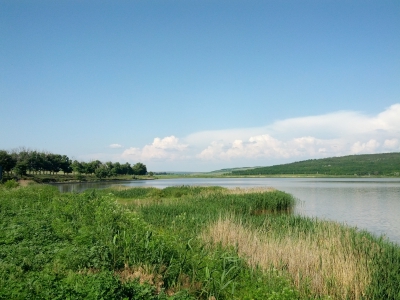 MD, Raionul Leova, Satul Sărata Nouă, Lacul de la Sarata Noua, vedere spre Cazangic