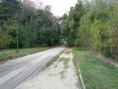 MD, Orasul Chişinău, Parcul Riscani, Drumul de access la Lacul 2