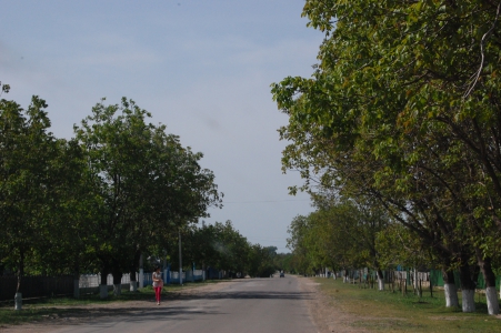 MD, Raionul Făleşti, Satul Chetriş, Drumul R57 prin satul Chetris