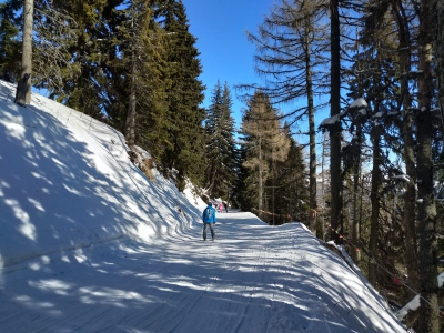 RO, Sinaia, Partie de skiat prin padure