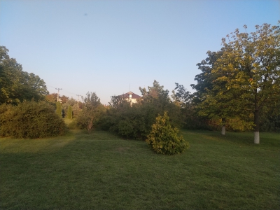 MD, Raionul Ştefan Vodă, Satul Palanca, Parc in satul Palanca