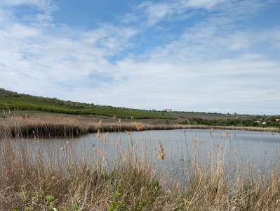 MD, Municipiul Chişinău, Orasul Codru, Lacul Hîrtoapei 