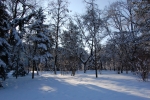 Iarna, Zăpadă, Copaci, Soare, Parcul Național Ștefan cel Mare