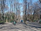 Parcul Stefan cel Mare