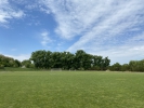 Teren de fotbal iarbă naturală 