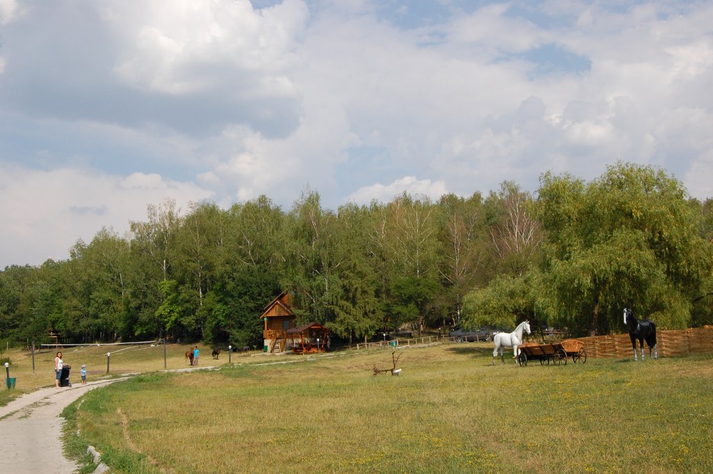 MD, Municipality Chisinau, Satul Colonita, Poiana Bradului - Casuta din lemn, Terasa, Gratar, Teren de volei, Cai