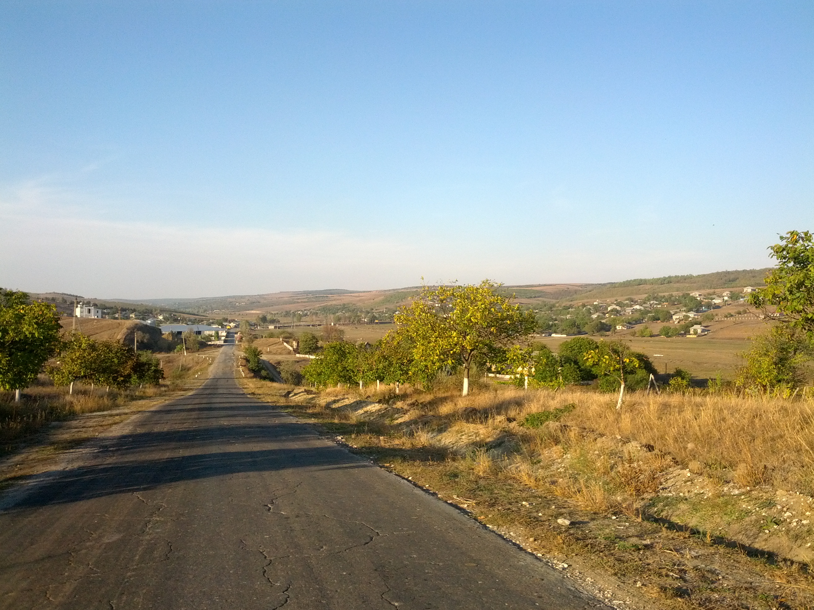 MD, Район Hincesti, Satul Firladeni, Drumul L558 Bozieni-Buteni, Vedere spre satul Firladeni
