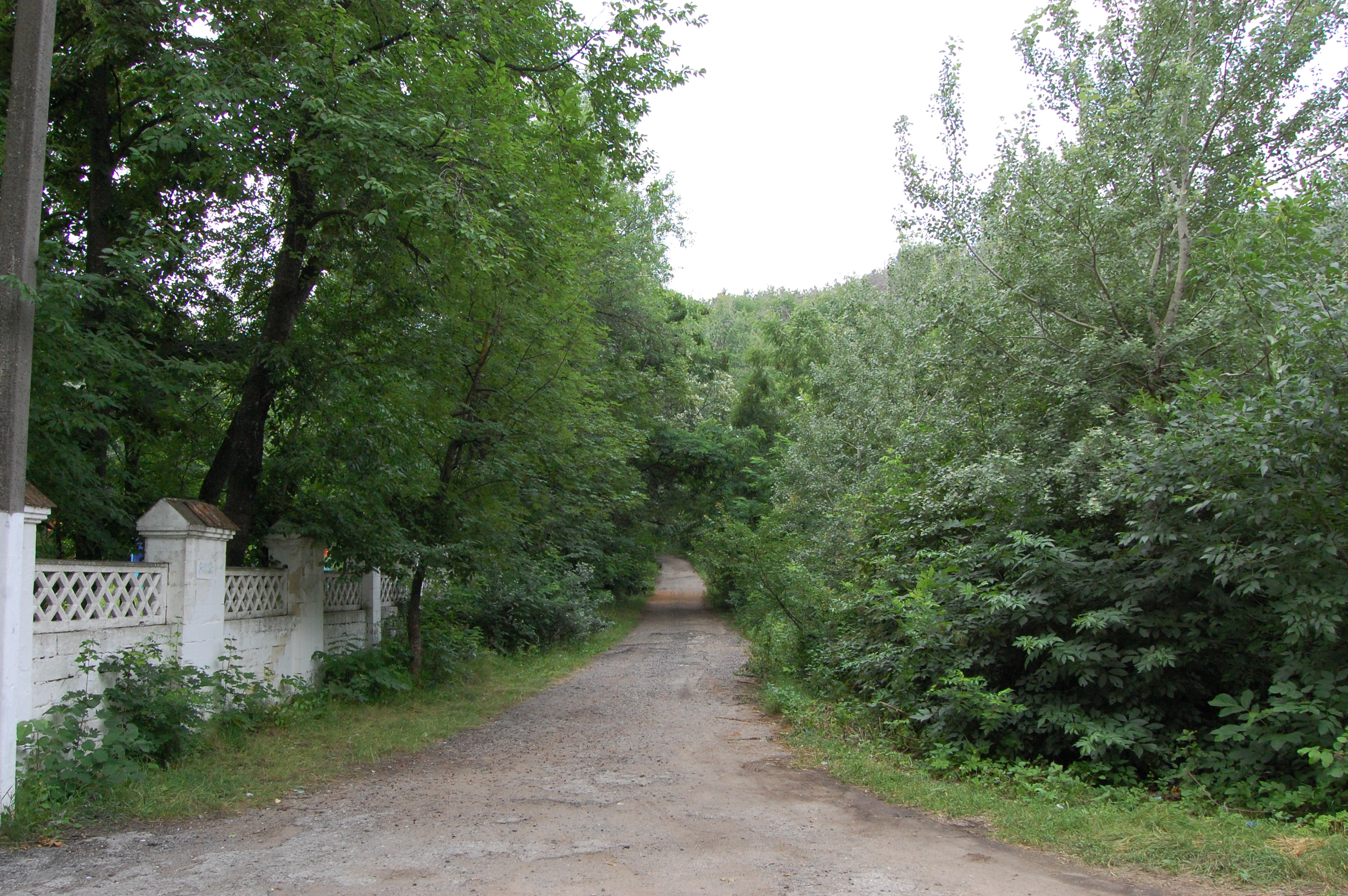MD, District Orhei, Satul Peresecina, Drumul de serviciu alTaberei de odihna pentru copii Dumbrava