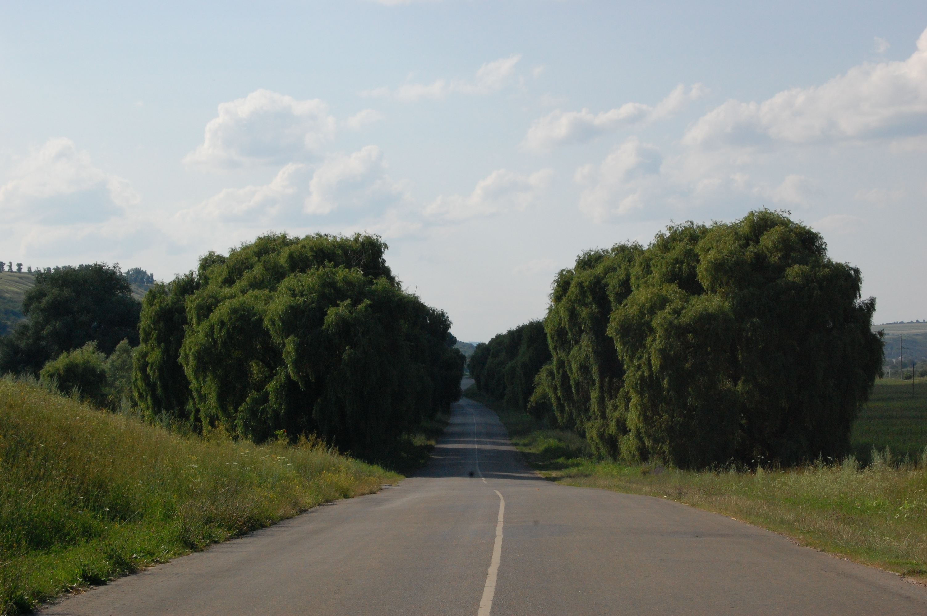 MD, Район Hincesti, Satul Stolniceni, Drumul R44, La intrarea in satul Stolniceni