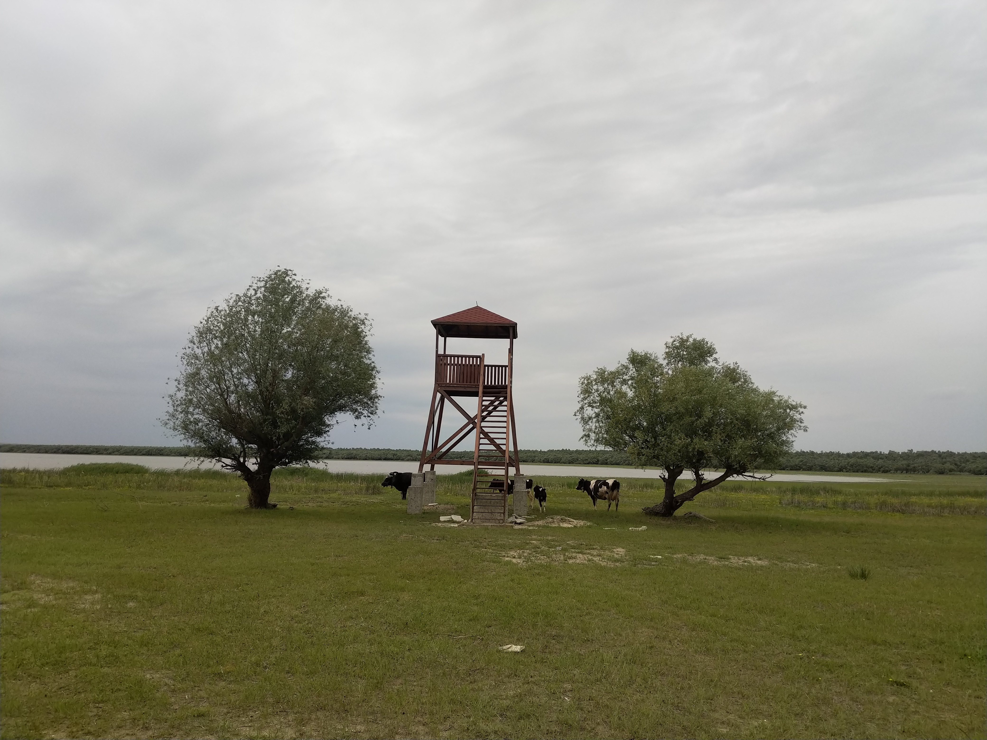 MD, Район Cahul, Satul Slobozia Mare, Lacul Beleu, Punct de Observare, Fotografiere