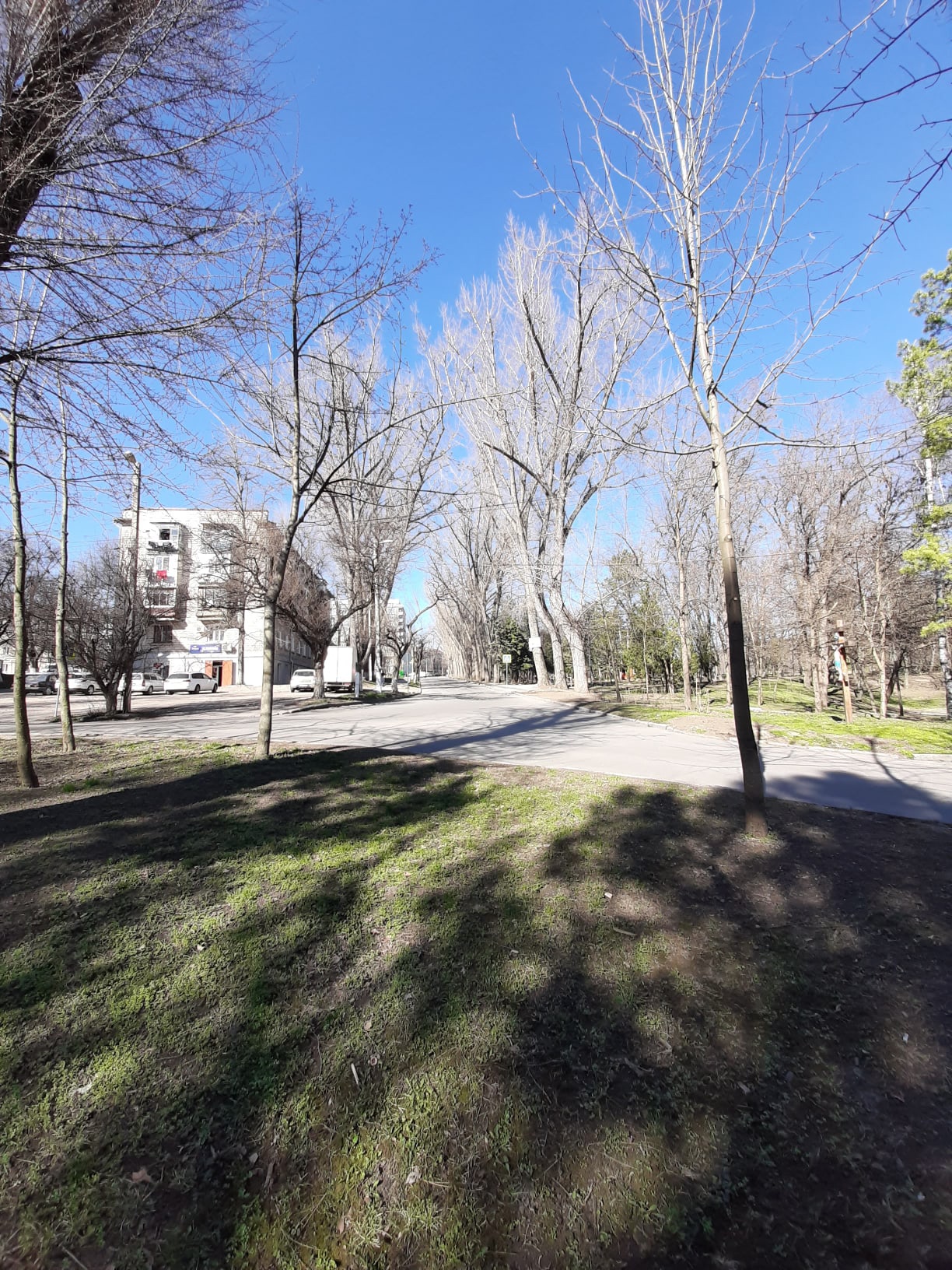 MD, Orasul Chişinău, Strada Braniștii 7, or Chișinău. Intrarea în parcul-pădure 