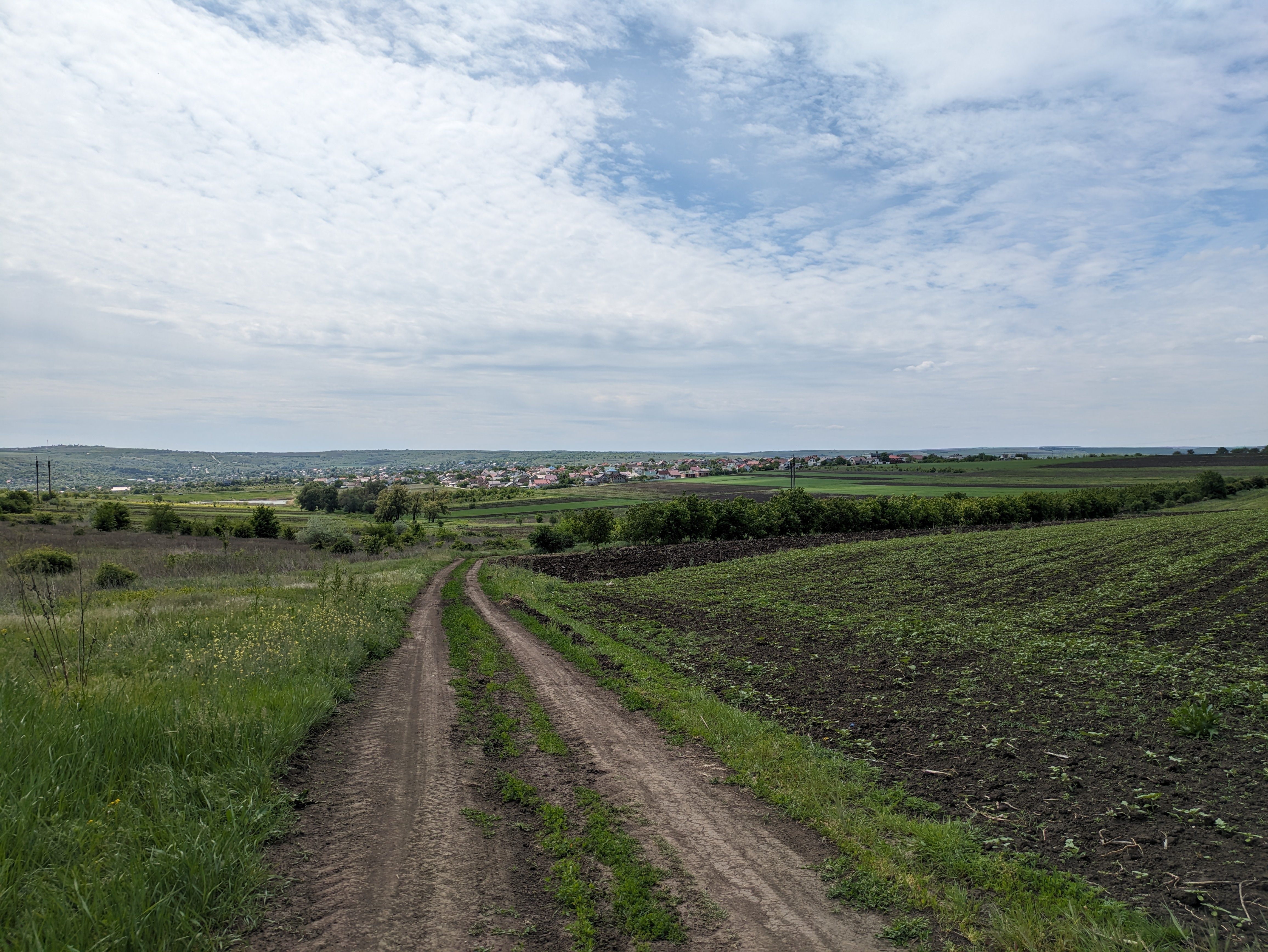 MD, Orasul Ialoveni, Vedere spre orașul Ialoveni 