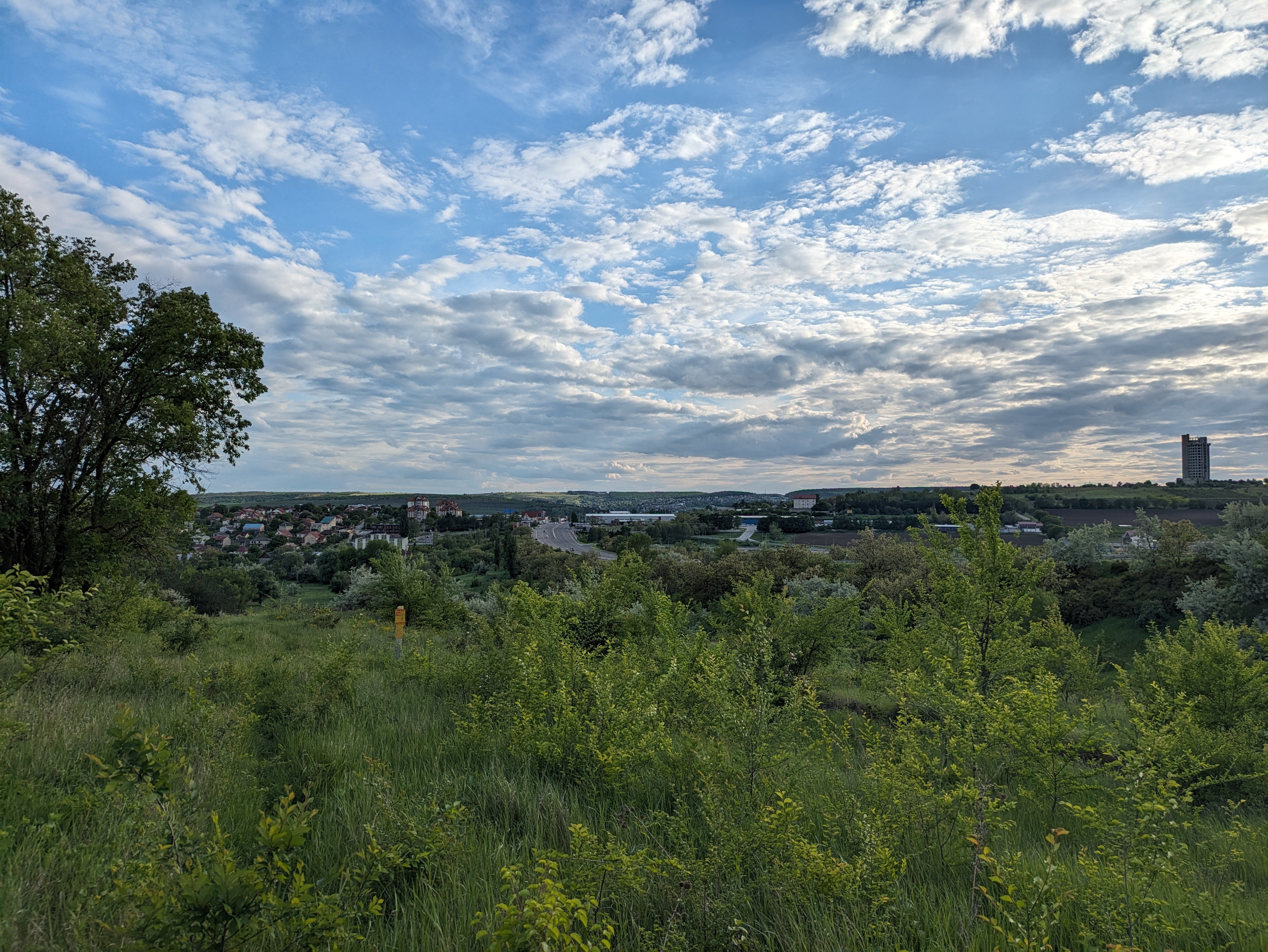 MD, Orasul Ialoveni, Pădurea la Ialoveni Moldova 