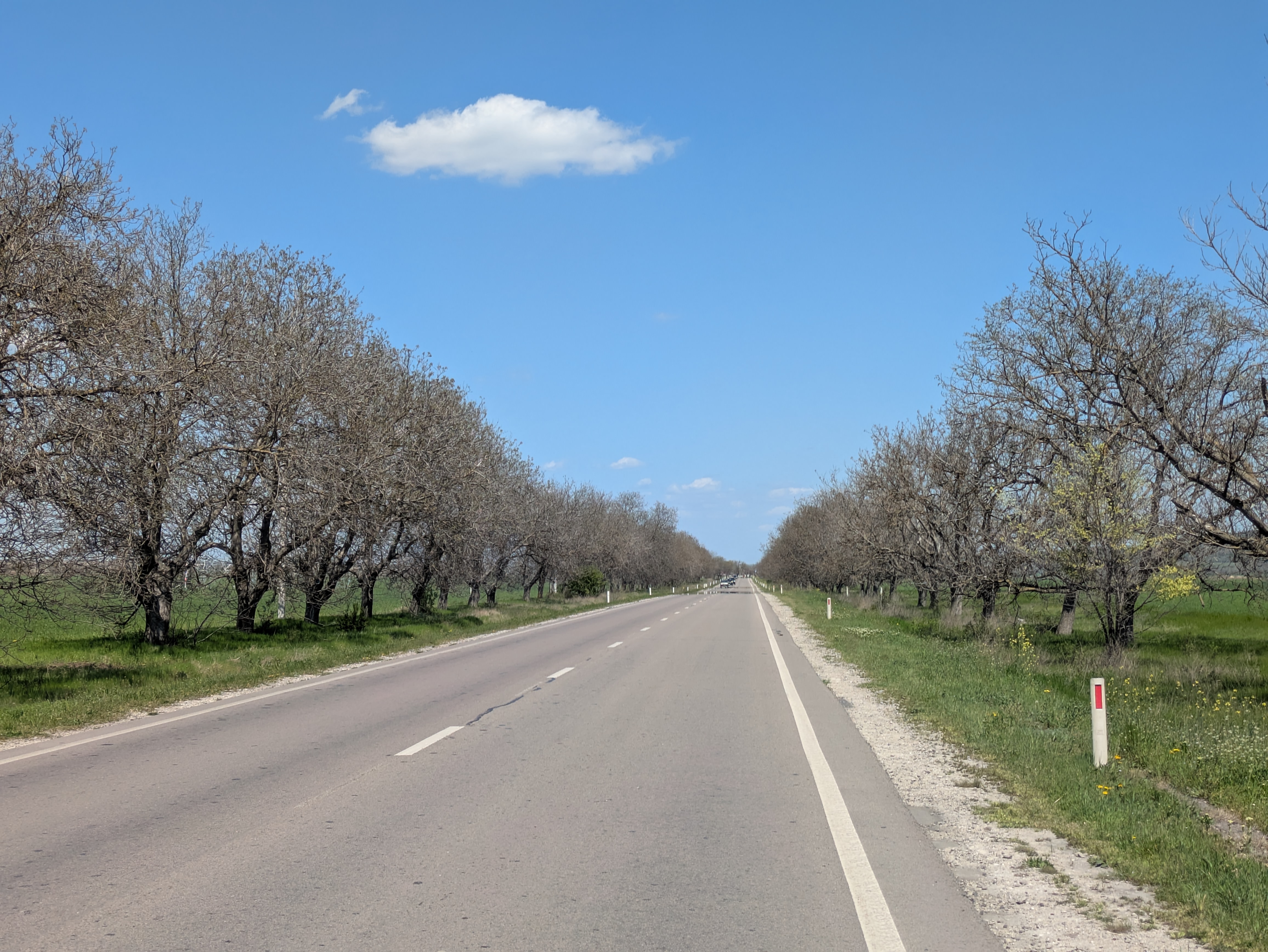 MD, Municipiul Comrat, Satul Congaz, Drumul M3 Vulcanesti - Comrat