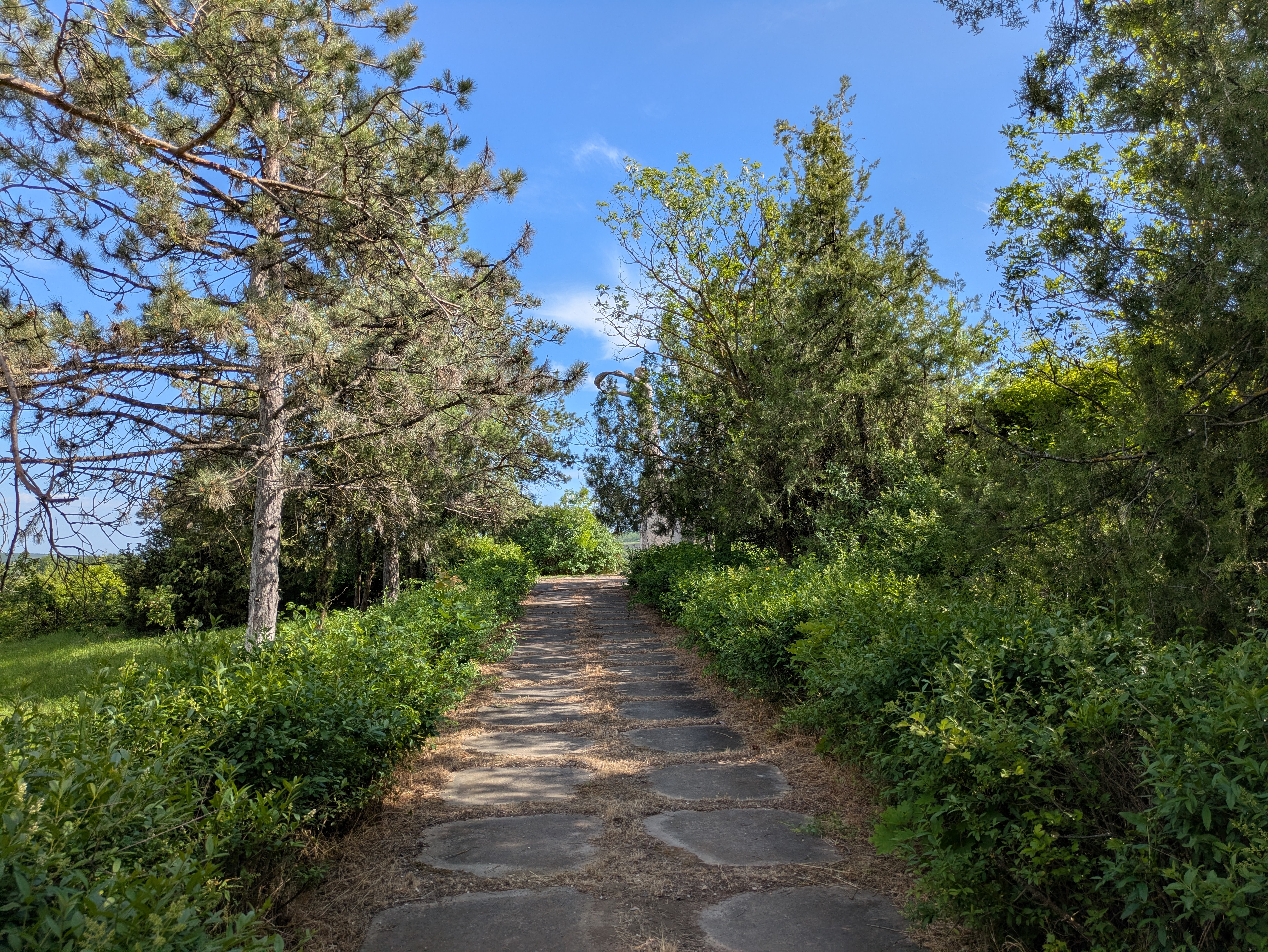 MD, Район Cimislia, Satul Fetita, 