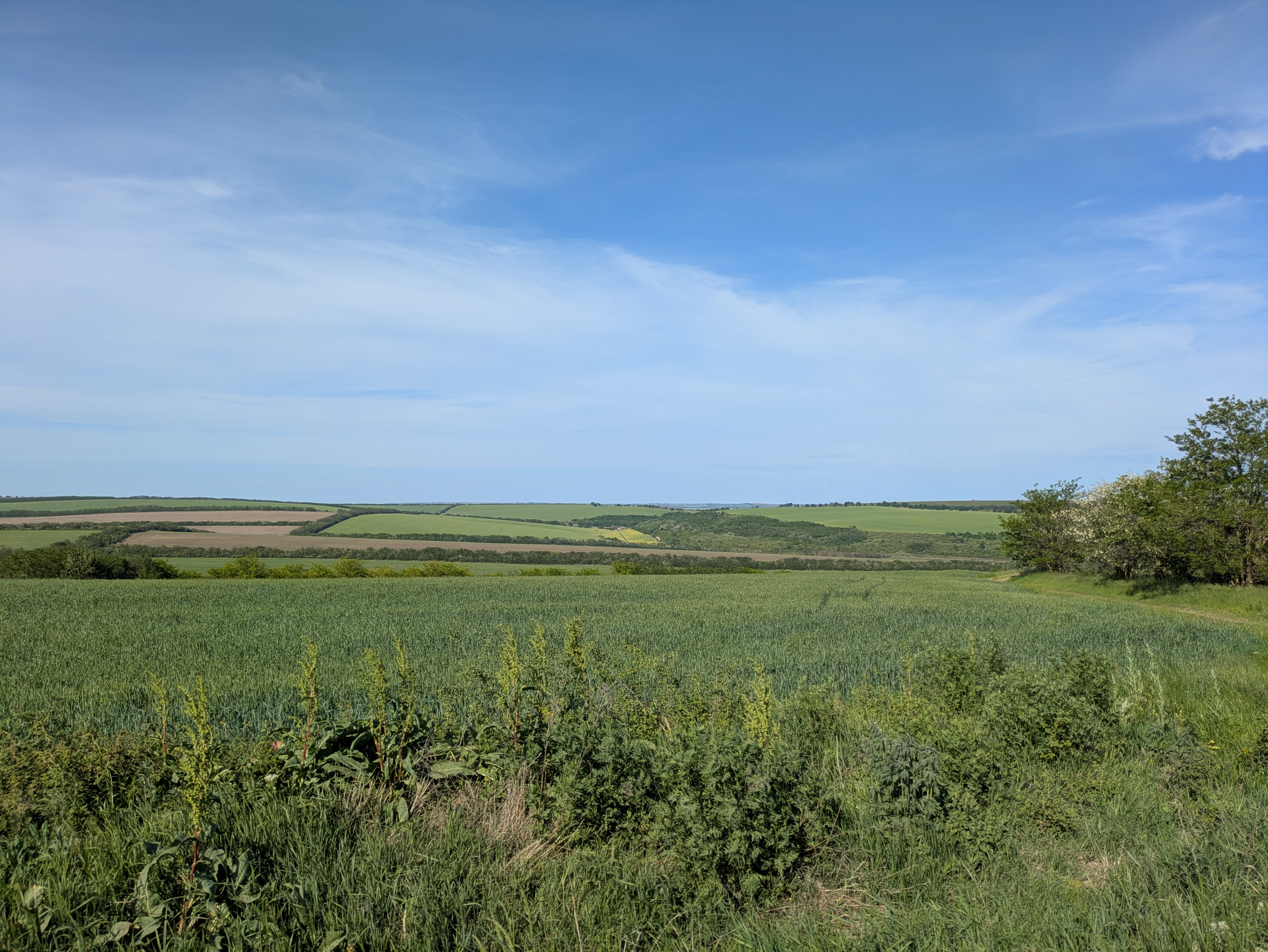 MD, Raionul Cimişlia, Satul Marienfeld, Lanuri