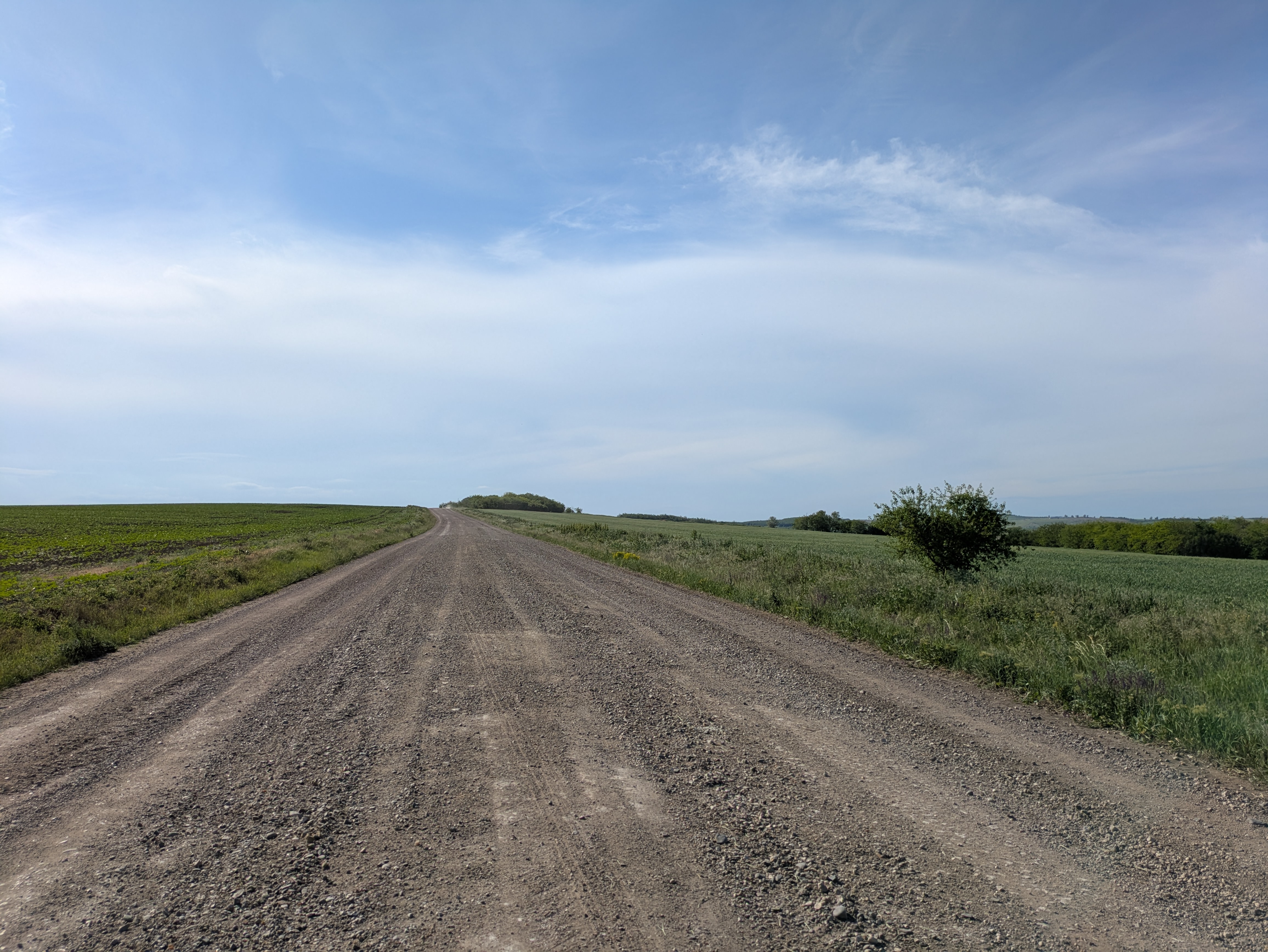 MD, Raionul Cimişlia, Satul Marienfeld, Drumul de piatră L581 