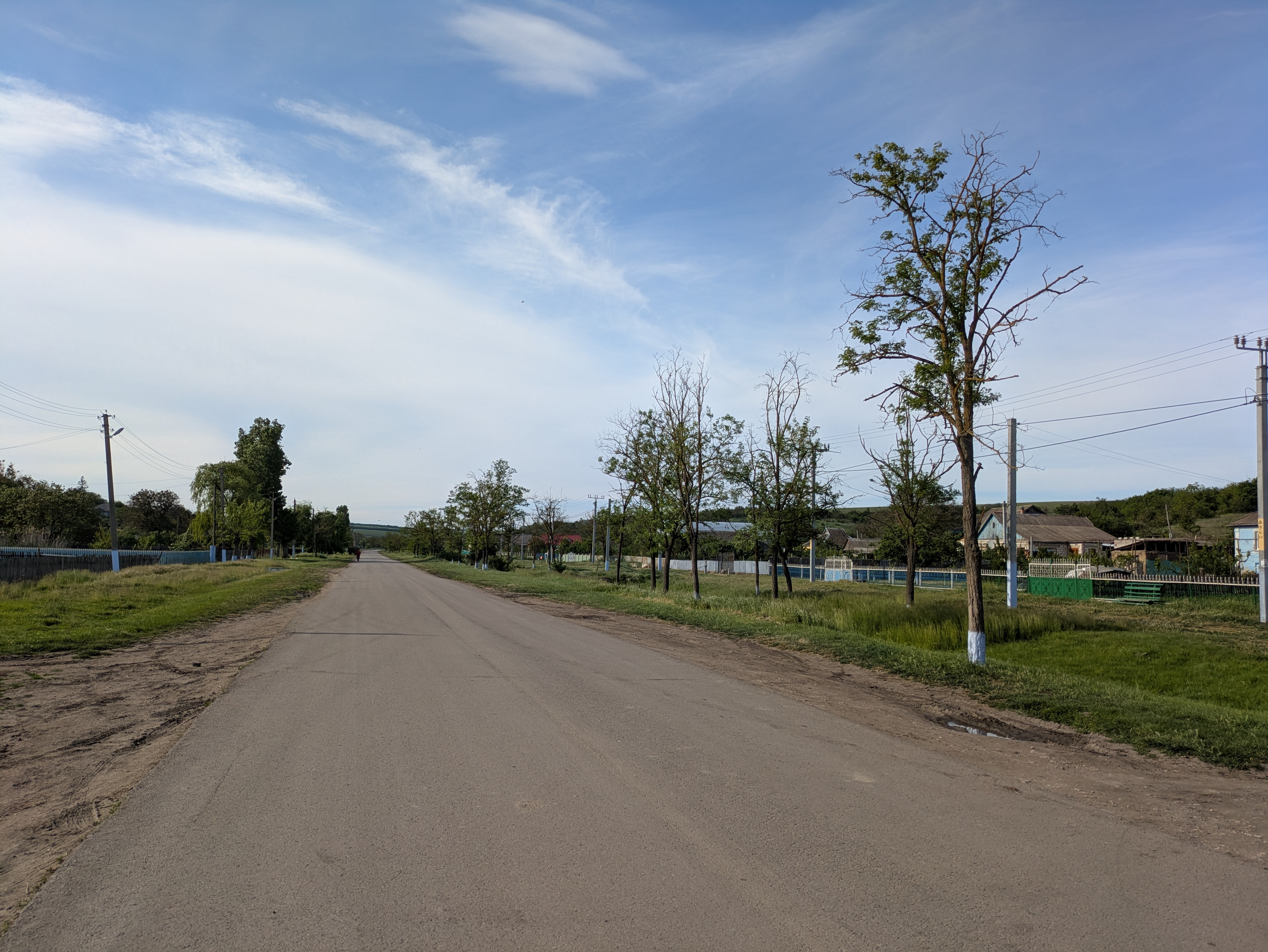 MD, Raionul Cimişlia, Satul Marienfeld, Strada principala 