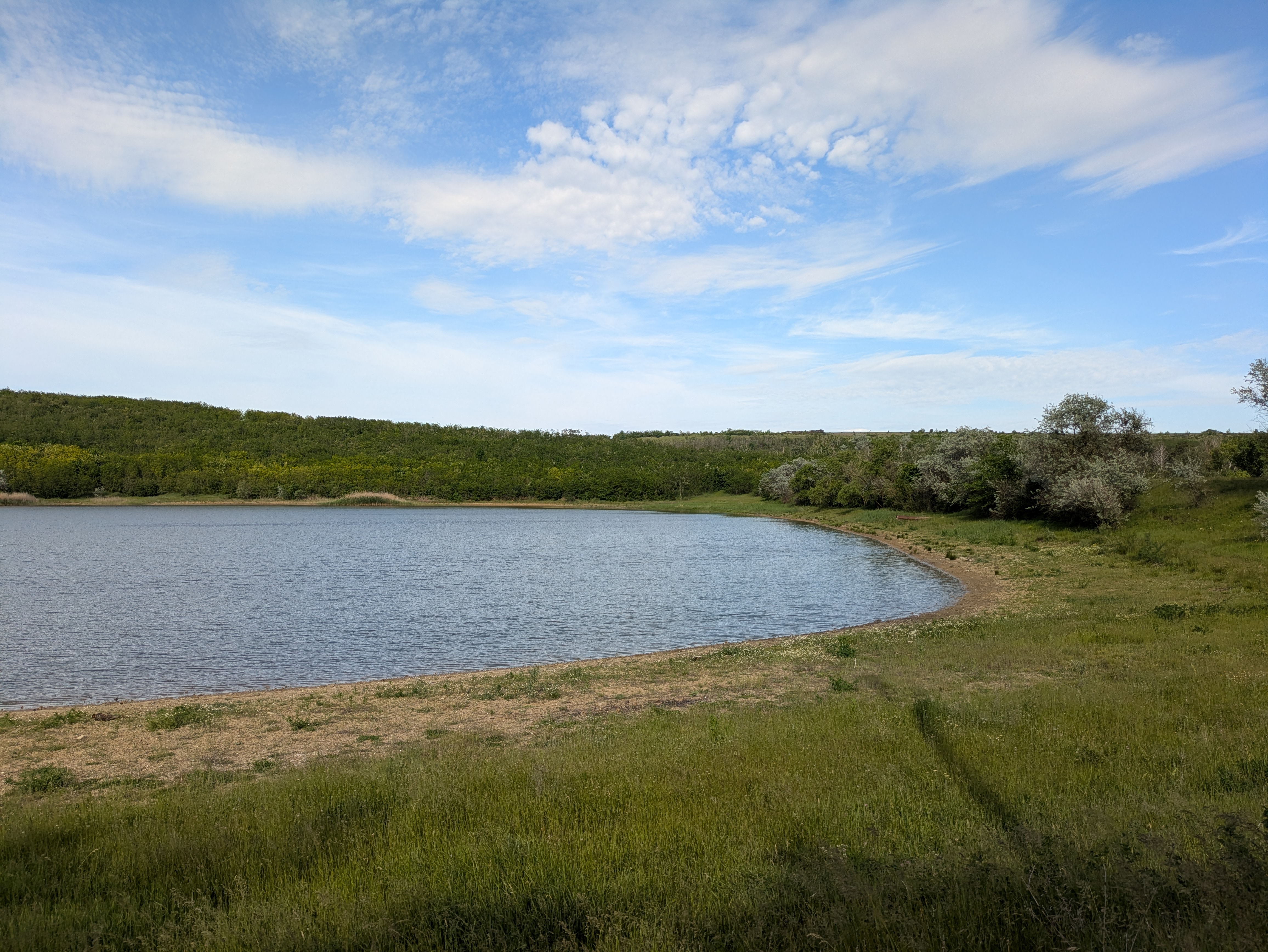 MD, Raionul Cimişlia, Satul Ialpujeni, Iazul de la Artimonovca