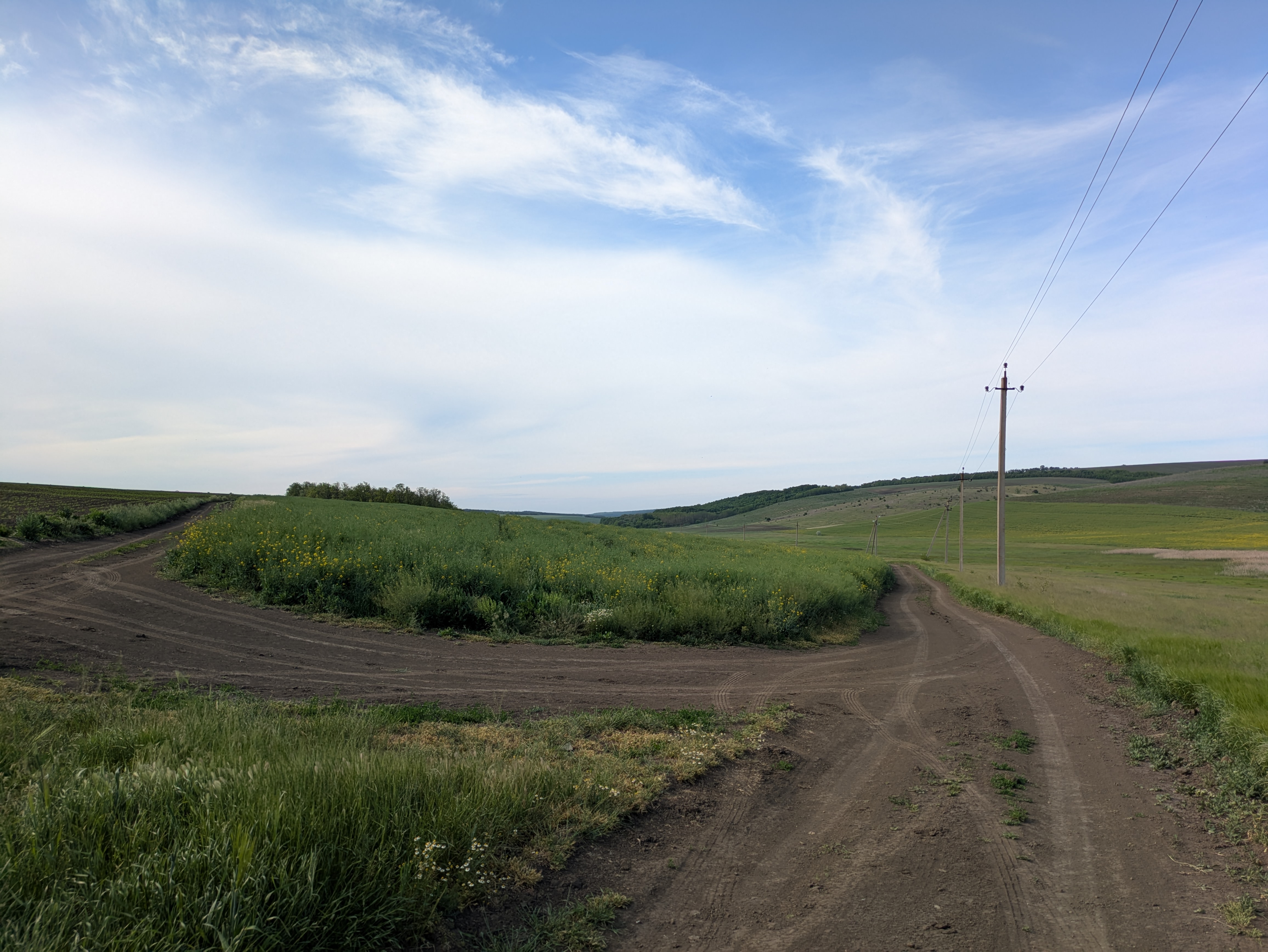 MD, Raionul Cimişlia, Satul Ialpujeni, Câmpuri agricole la Artimonovca 