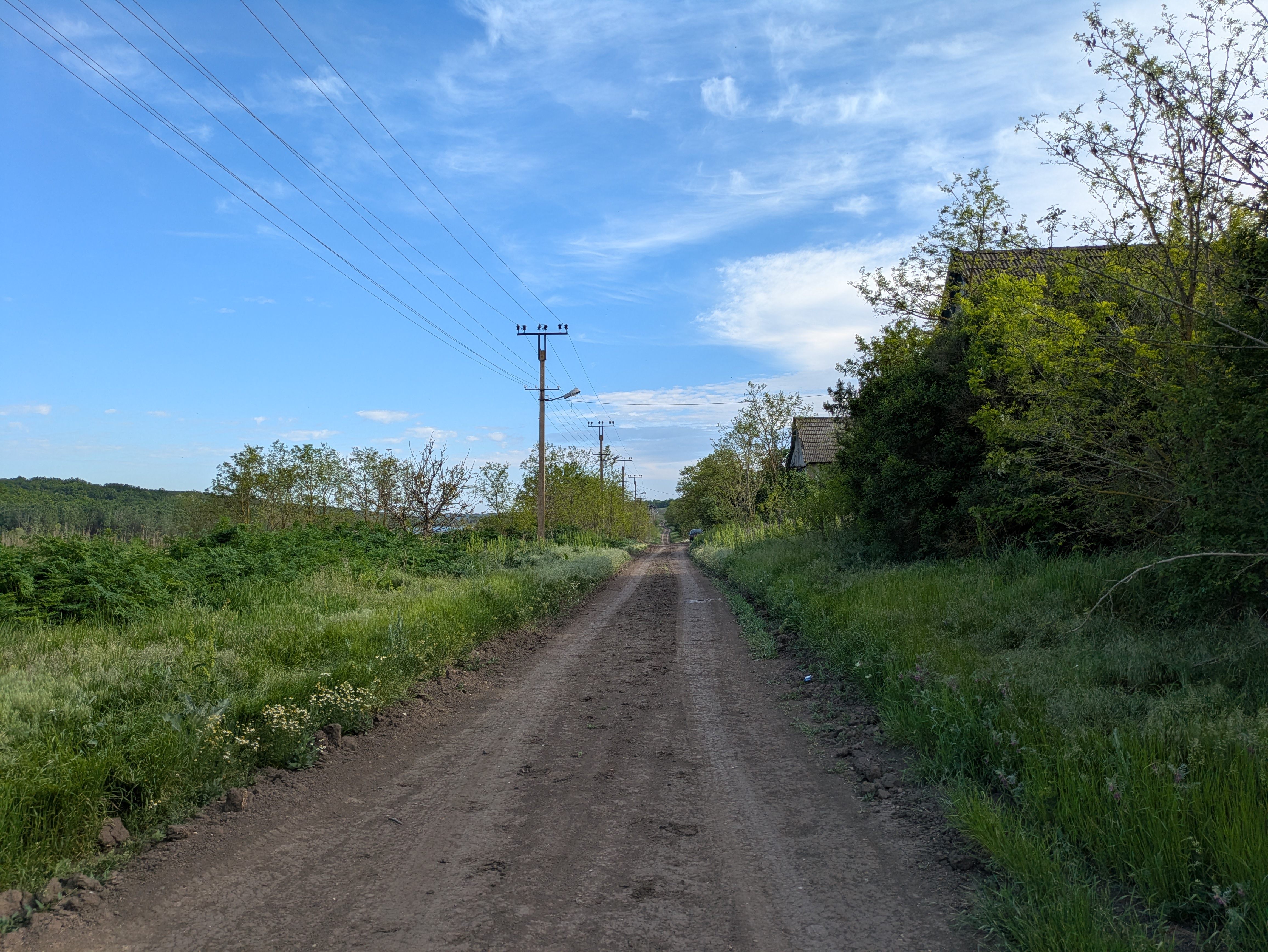 MD, Raionul Cimişlia, Satul Ialpujeni, Strada principala in Artimonovca 