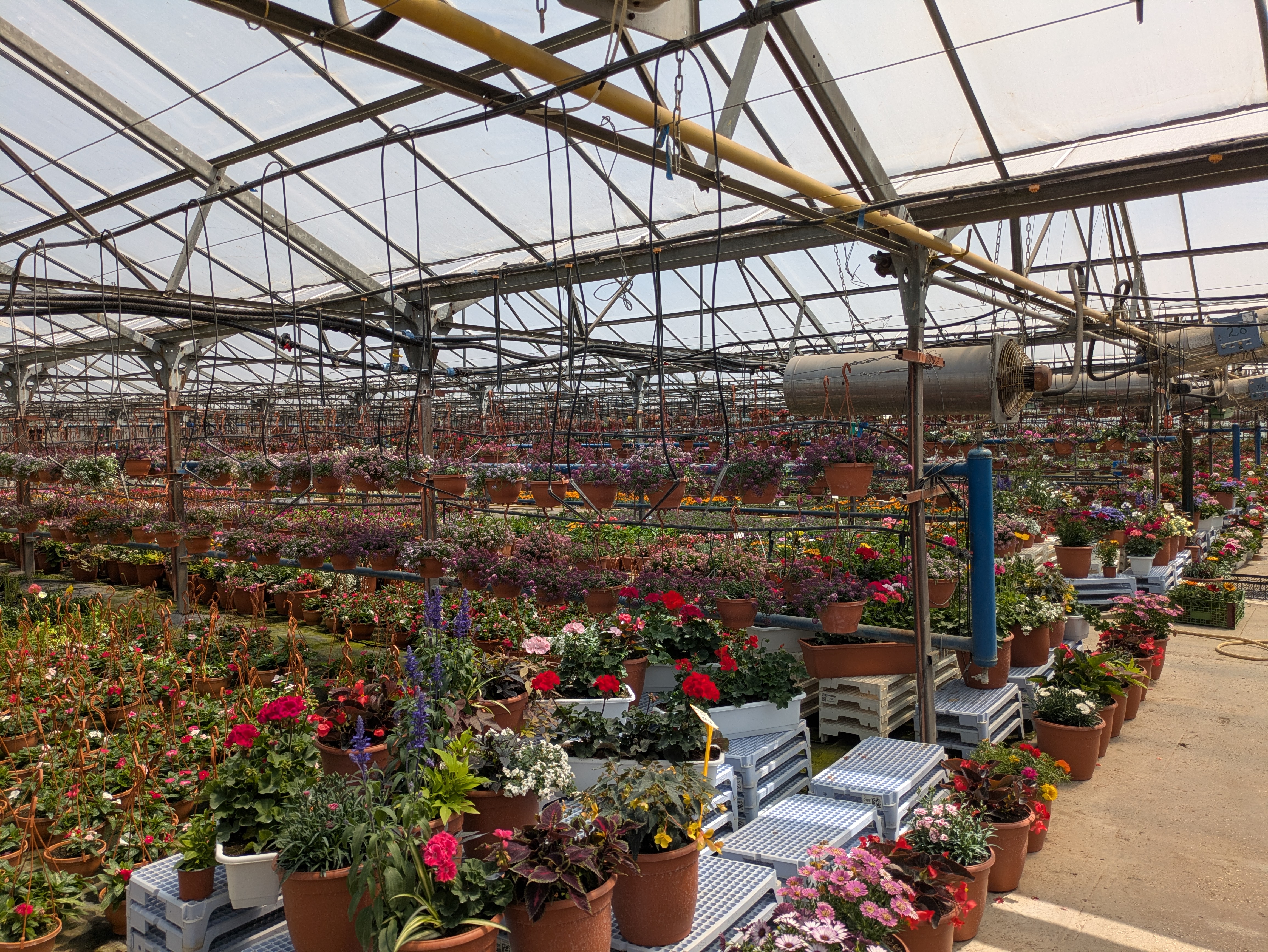 MD, Municipiul Chişinău, Satul Truşeni, Seră de flori 