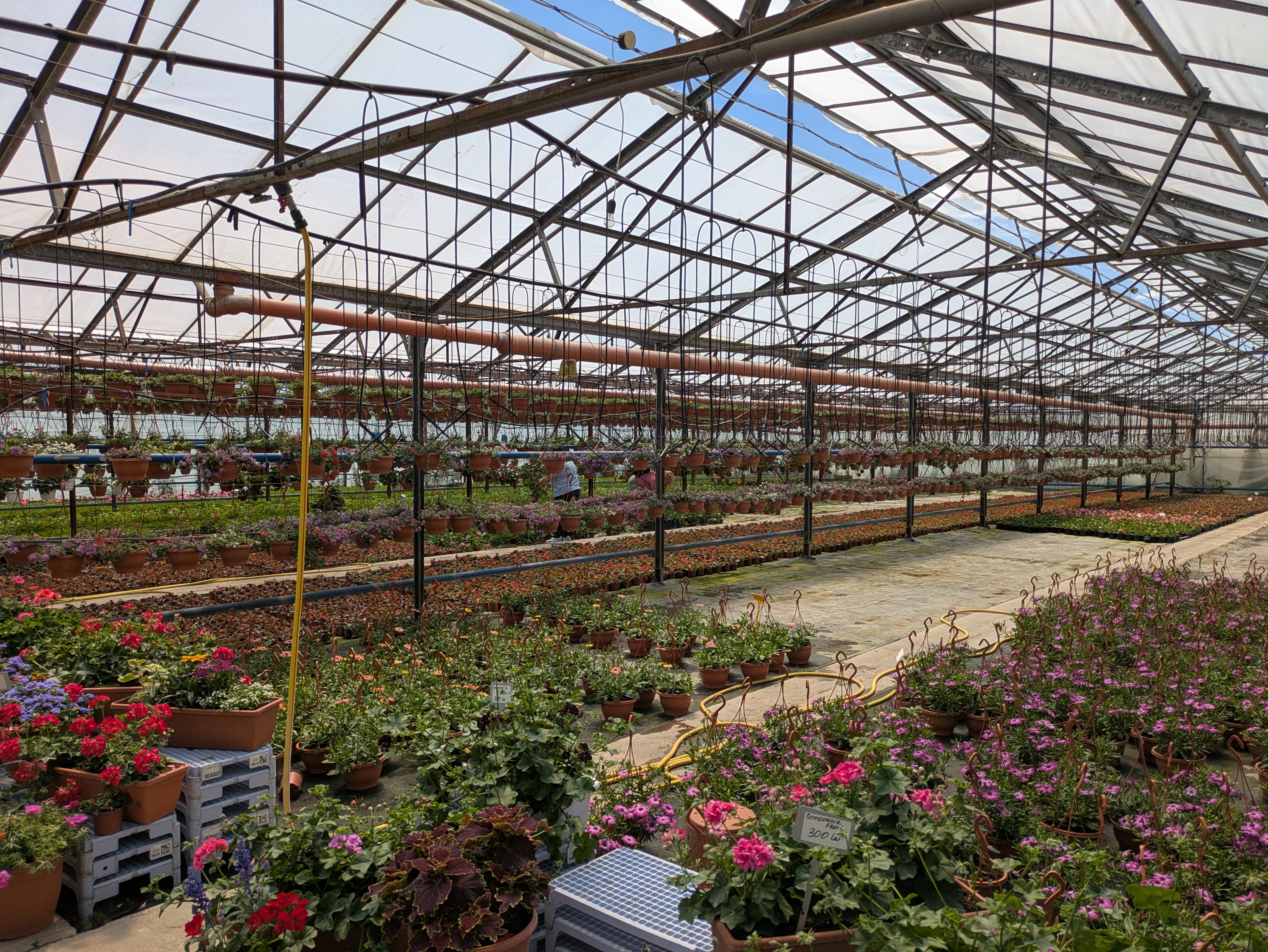 MD, Муниципалитет Chisinau, Satul Truseni, Fructul SRL