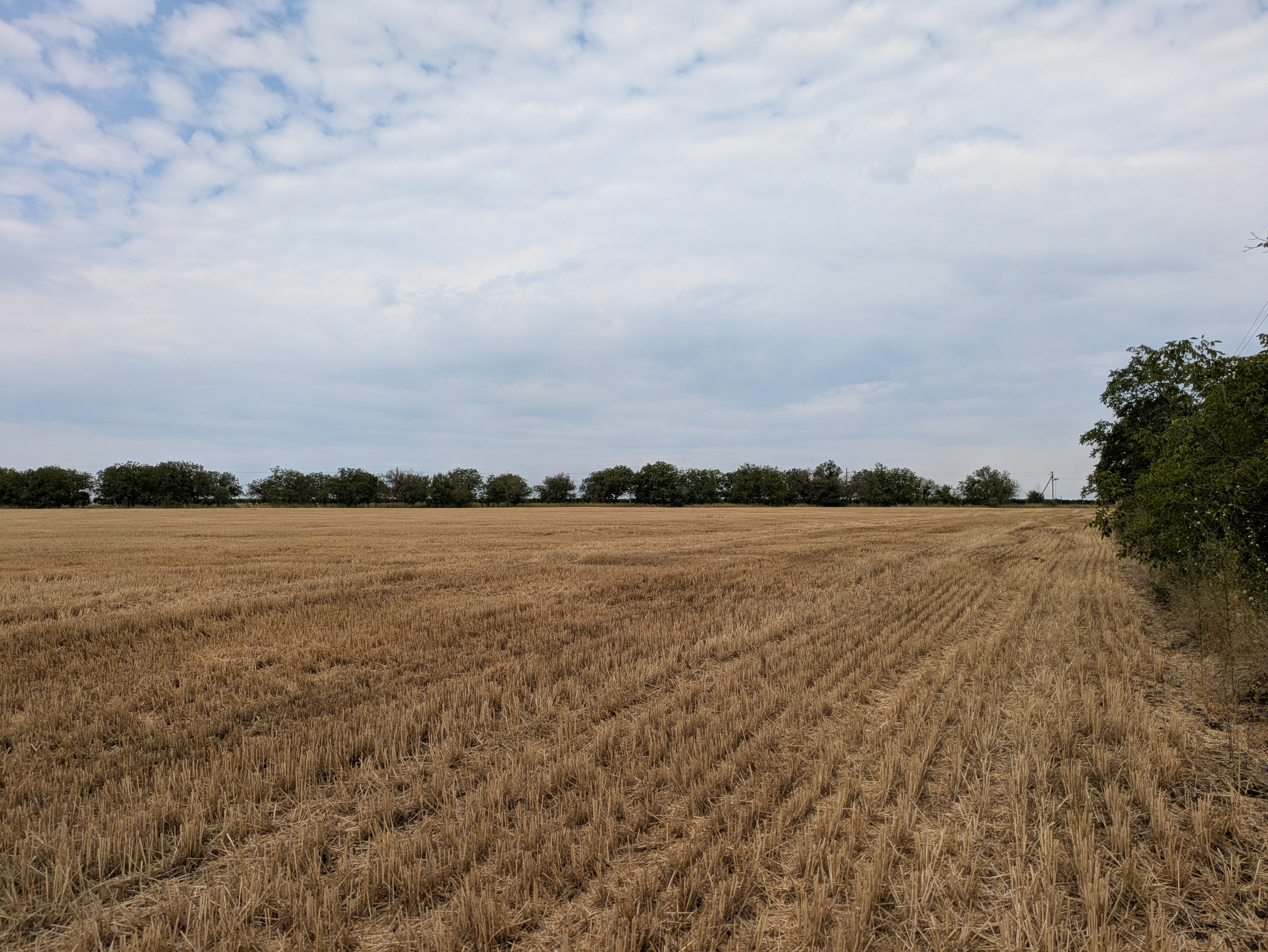 MD, Municipiul Comrat, Satul Congazcicul de Jos, Câmp după grâu recoltat