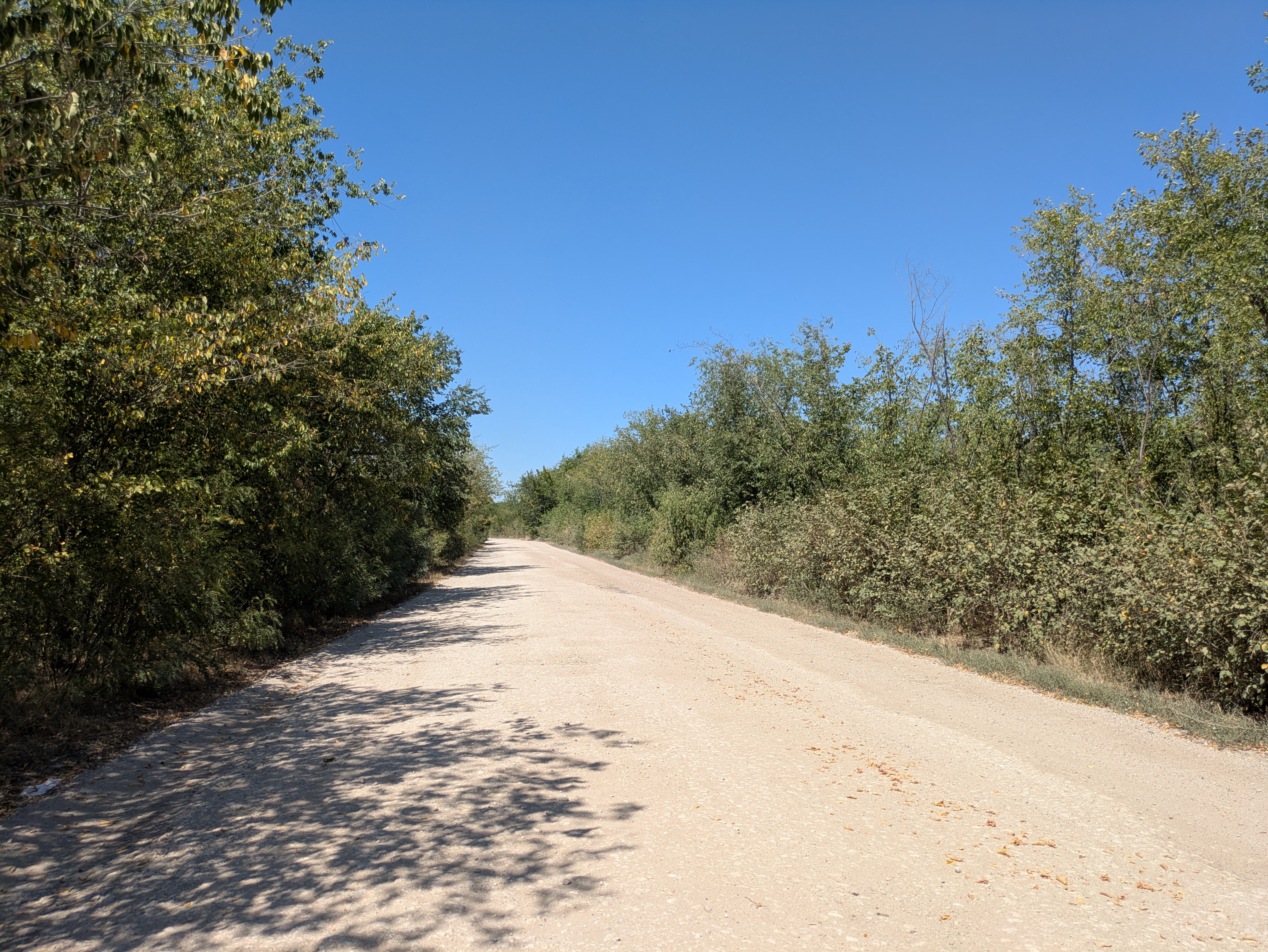 MD, District Cahul, Satul Iasnaia Poleana, Drum de petriș 
