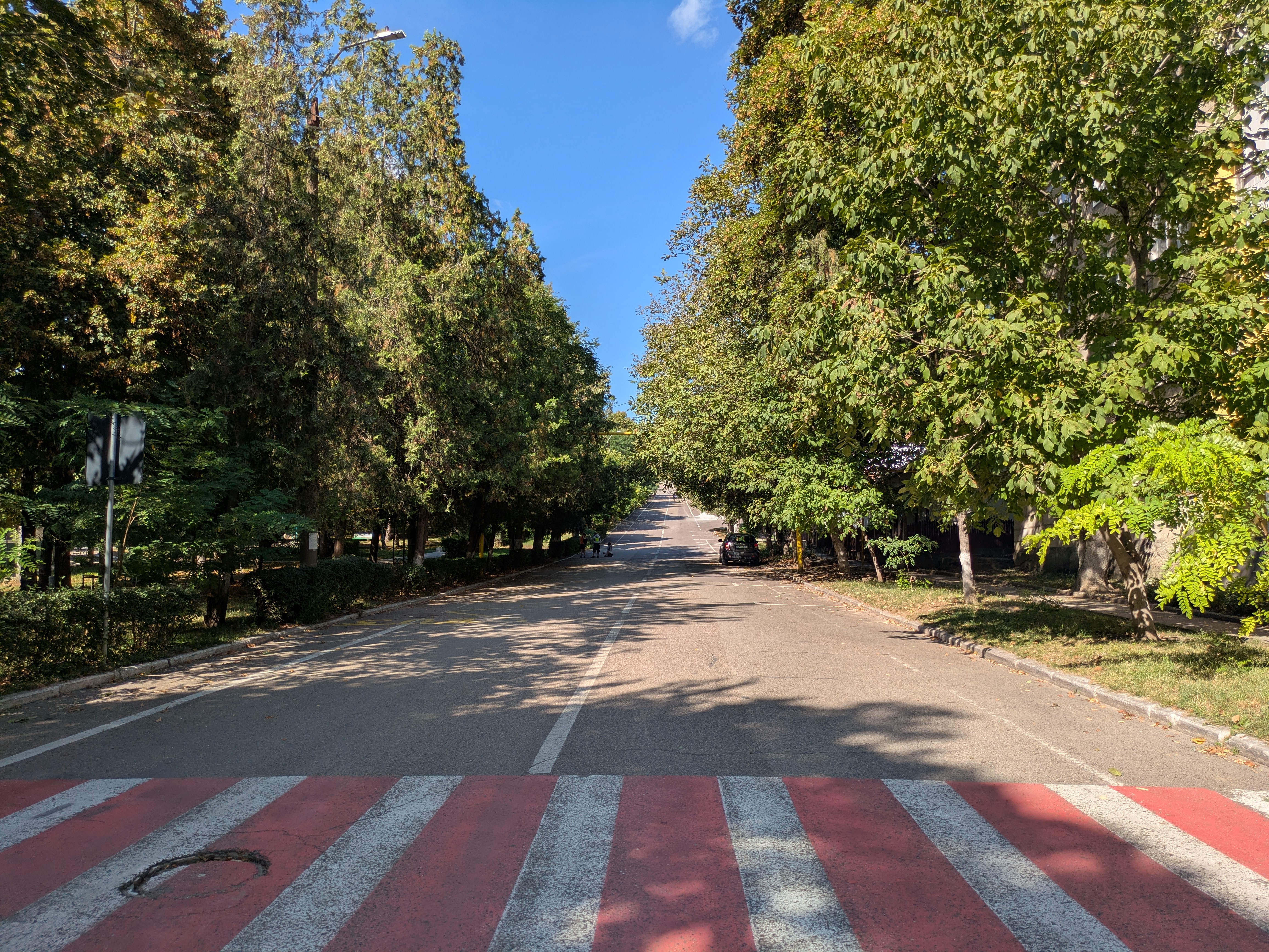 MD, Orasul Călăraşi, Trecerea de pietoni 