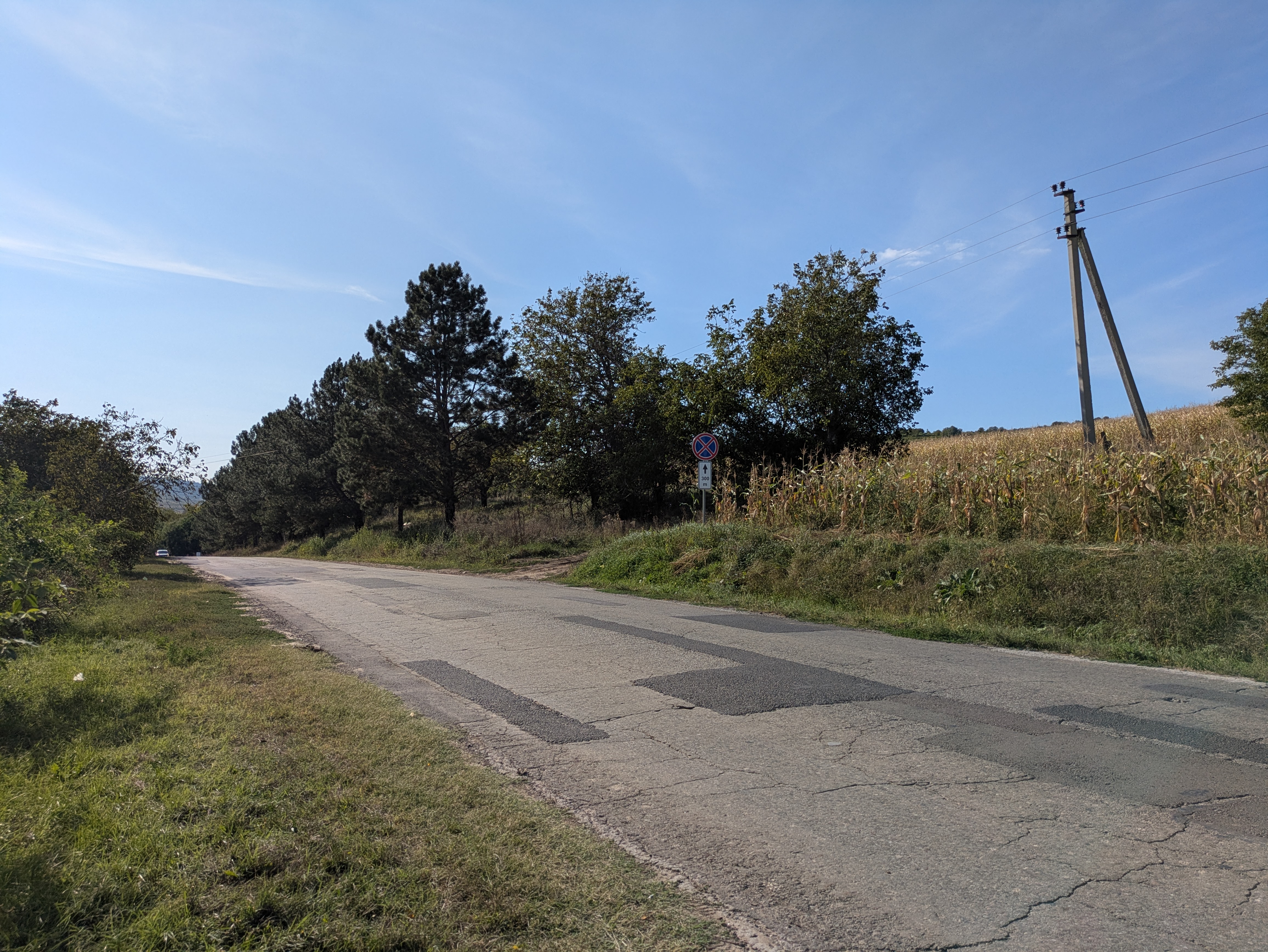 MD, Район Calarasi, Satul Peticeni, Drumul Valcinet - Peticeni L352 