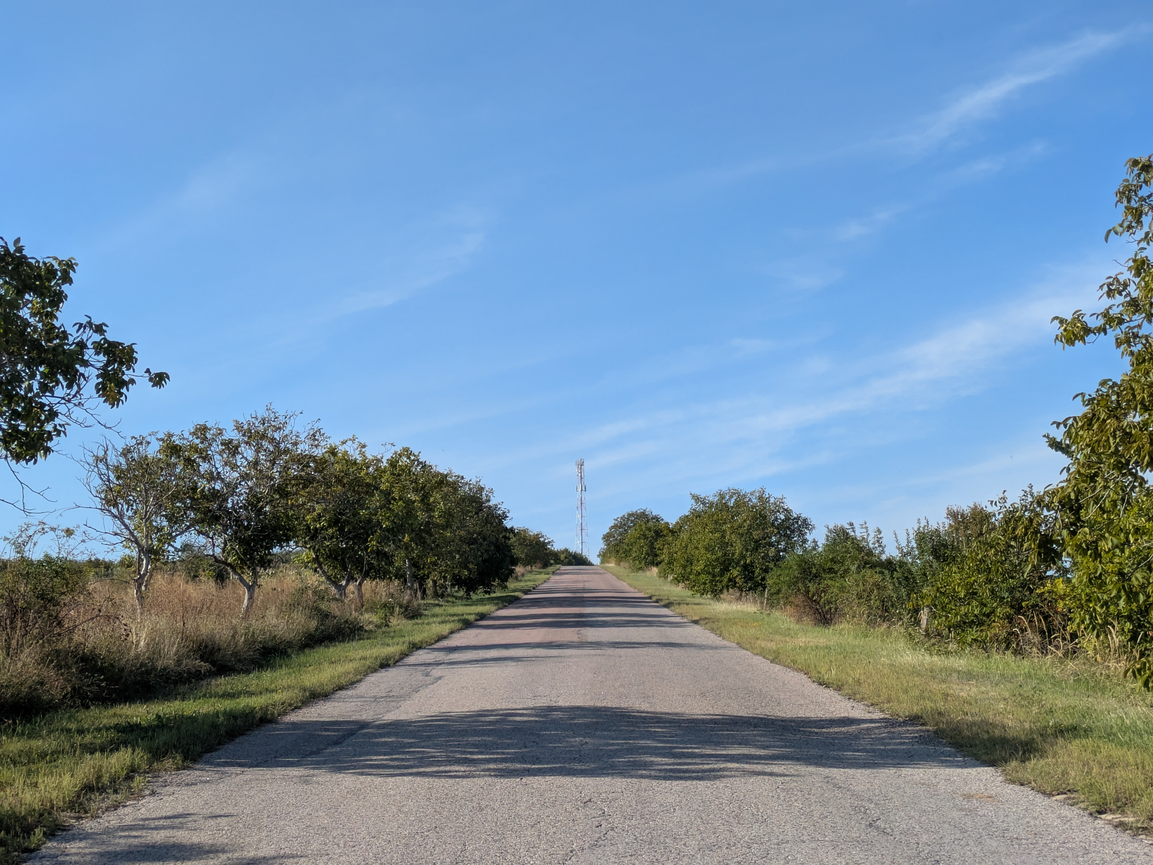 MD, Район Calarasi, Satul Horodiste, Drumul R44 spre Calarasi